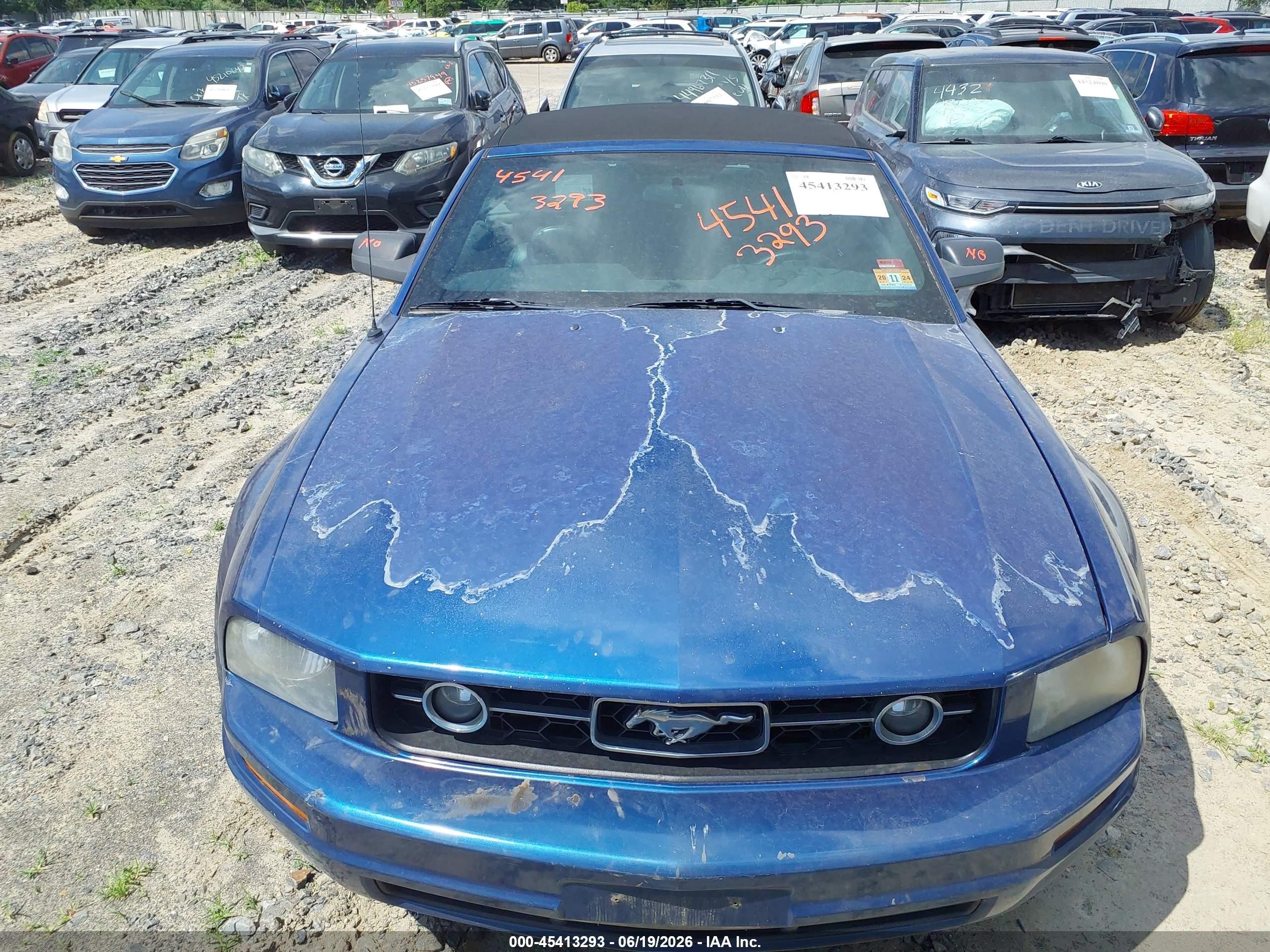 2007 Ford Mustang V6 Deluxe/v6 Premium Blue vin: 1ZVHT84N975197842