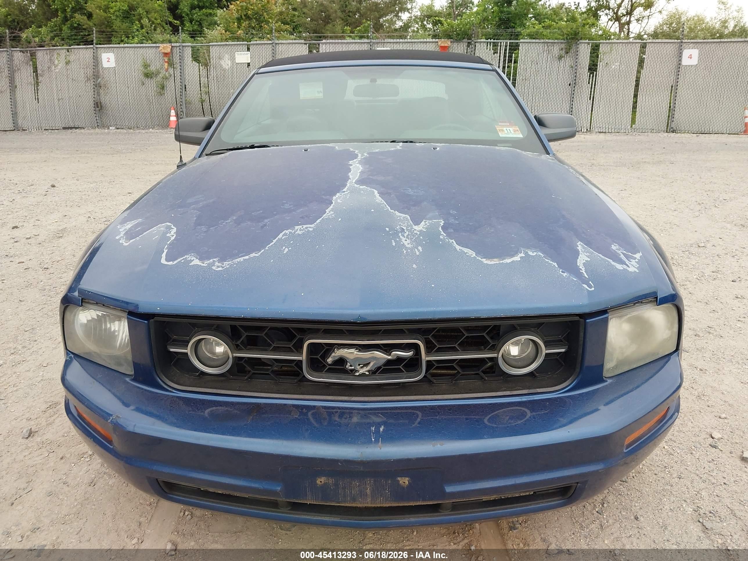 2007 Ford Mustang V6 Deluxe/v6 Premium Blue vin: 1ZVHT84N975197842