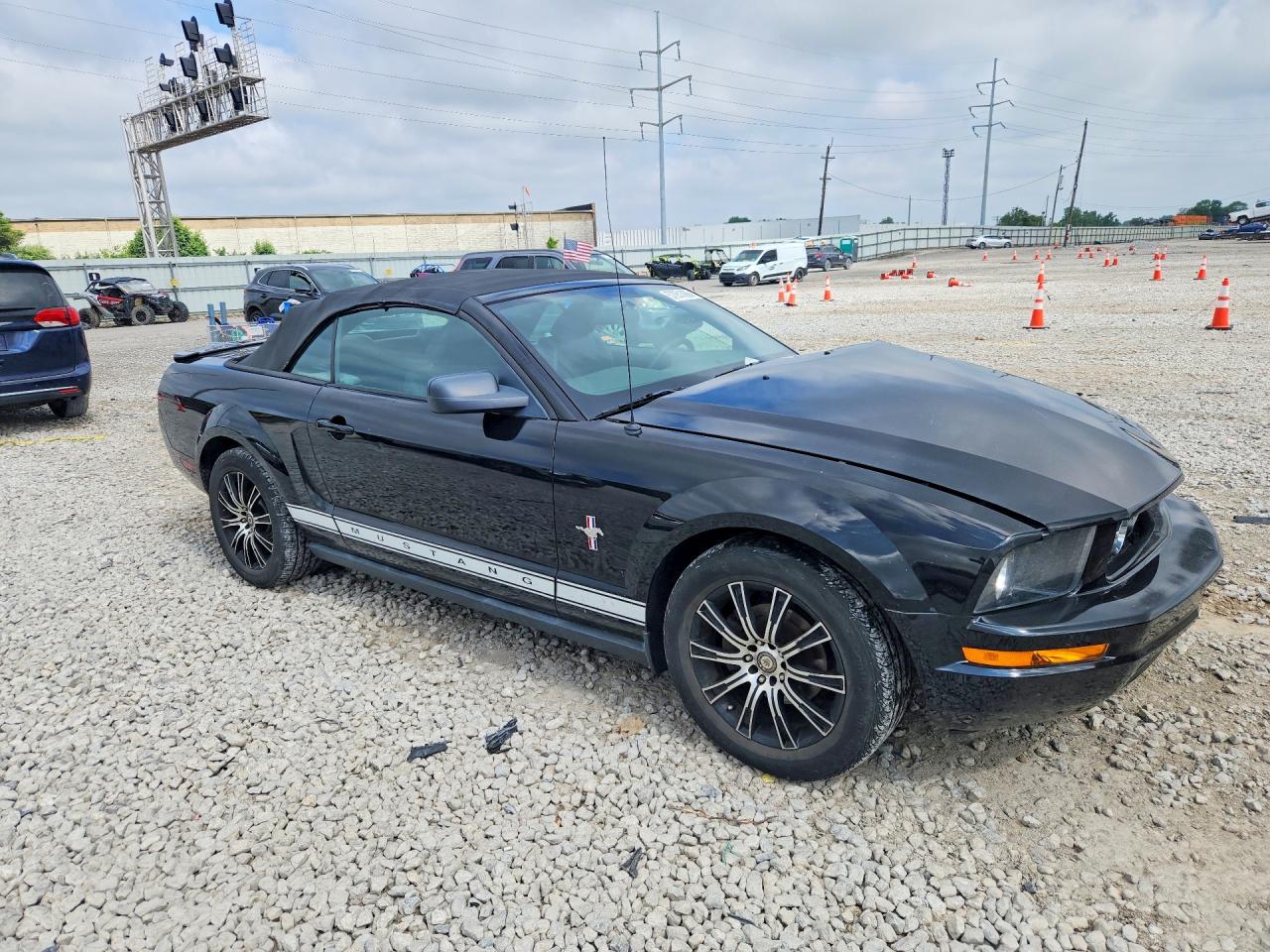 2008 Ford Mustang Black vin: 1ZVHT84N985162591