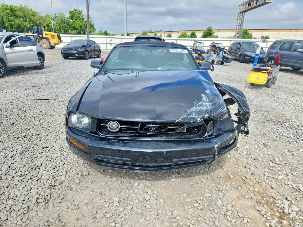 2008 Ford Mustang Black vin: 1ZVHT84N985162591