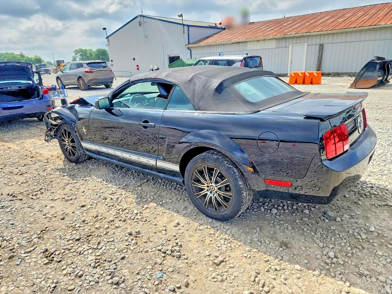 2008 Ford Mustang Black vin: 1ZVHT84N985162591