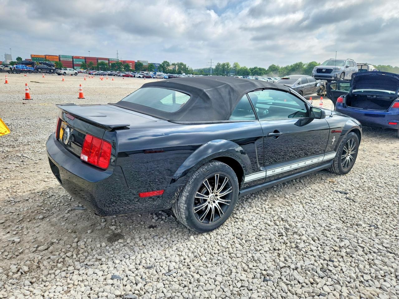 2008 Ford Mustang Black vin: 1ZVHT84N985162591
