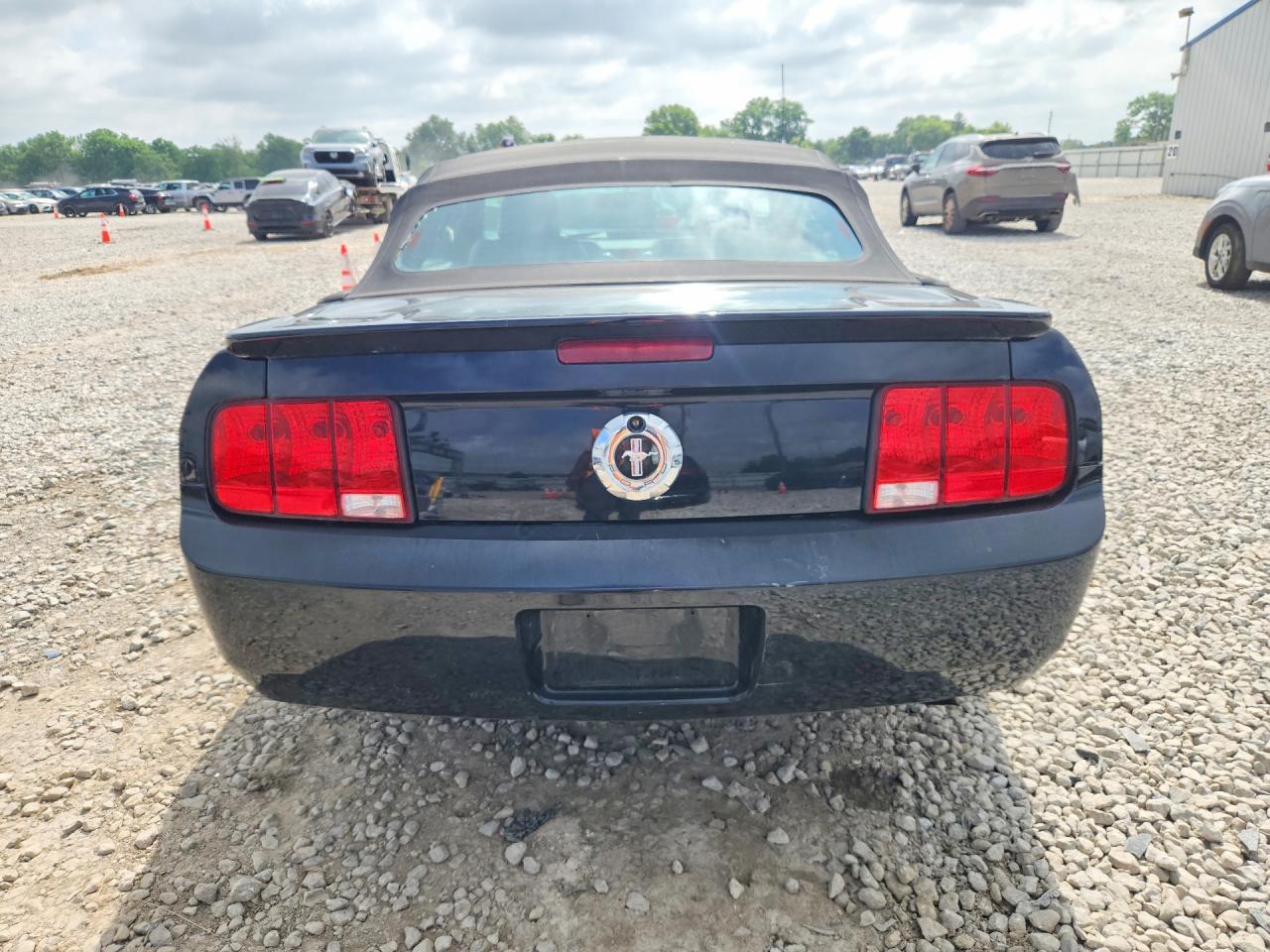 2008 Ford Mustang Black vin: 1ZVHT84N985162591