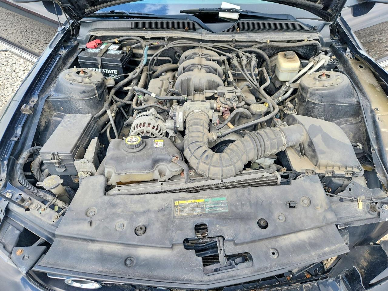 2008 Ford Mustang Black vin: 1ZVHT84N985162591