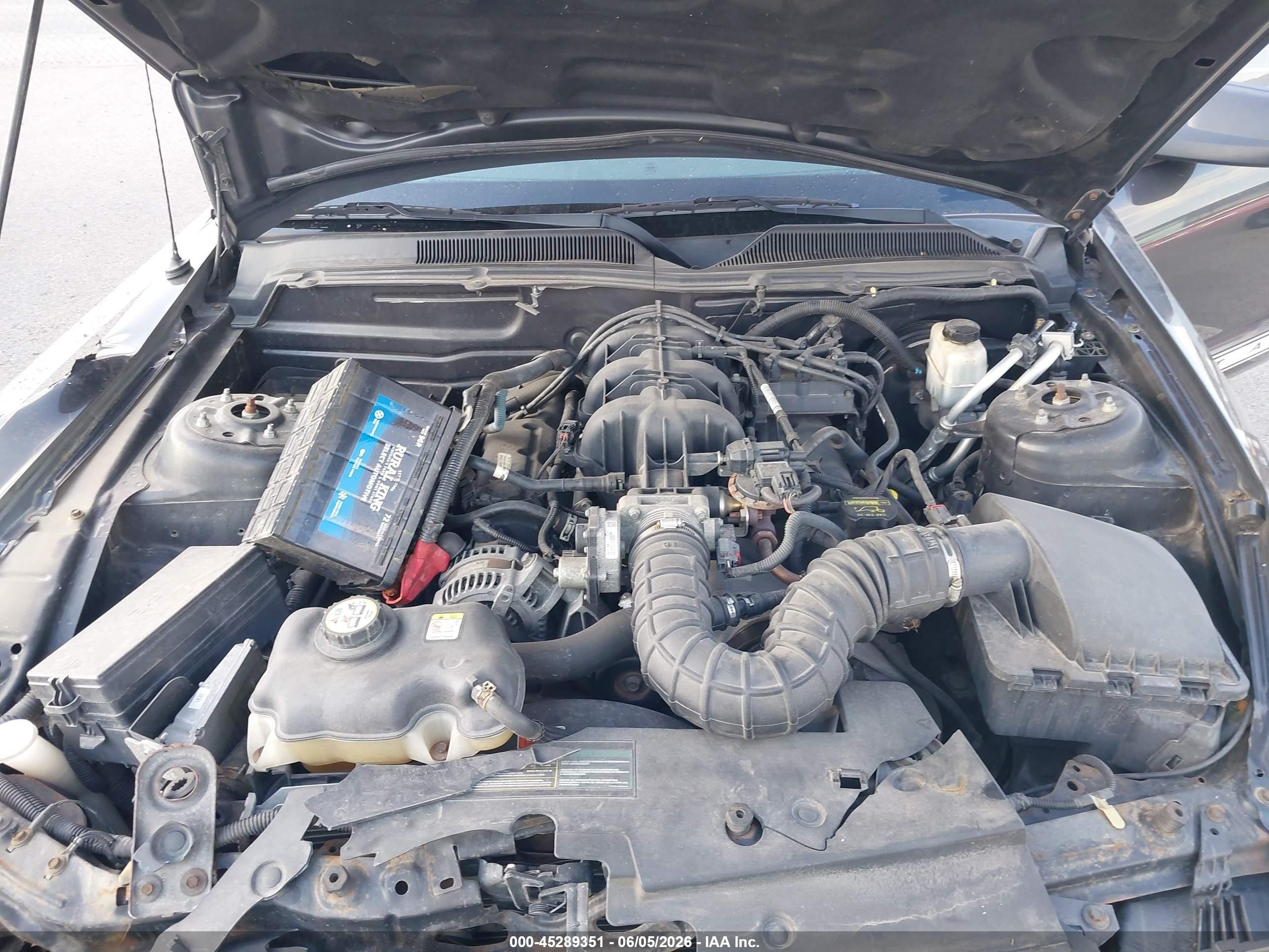 2009 Ford Mustang V6/v6 Premium Серый vin: 1ZVHT84N995118754
