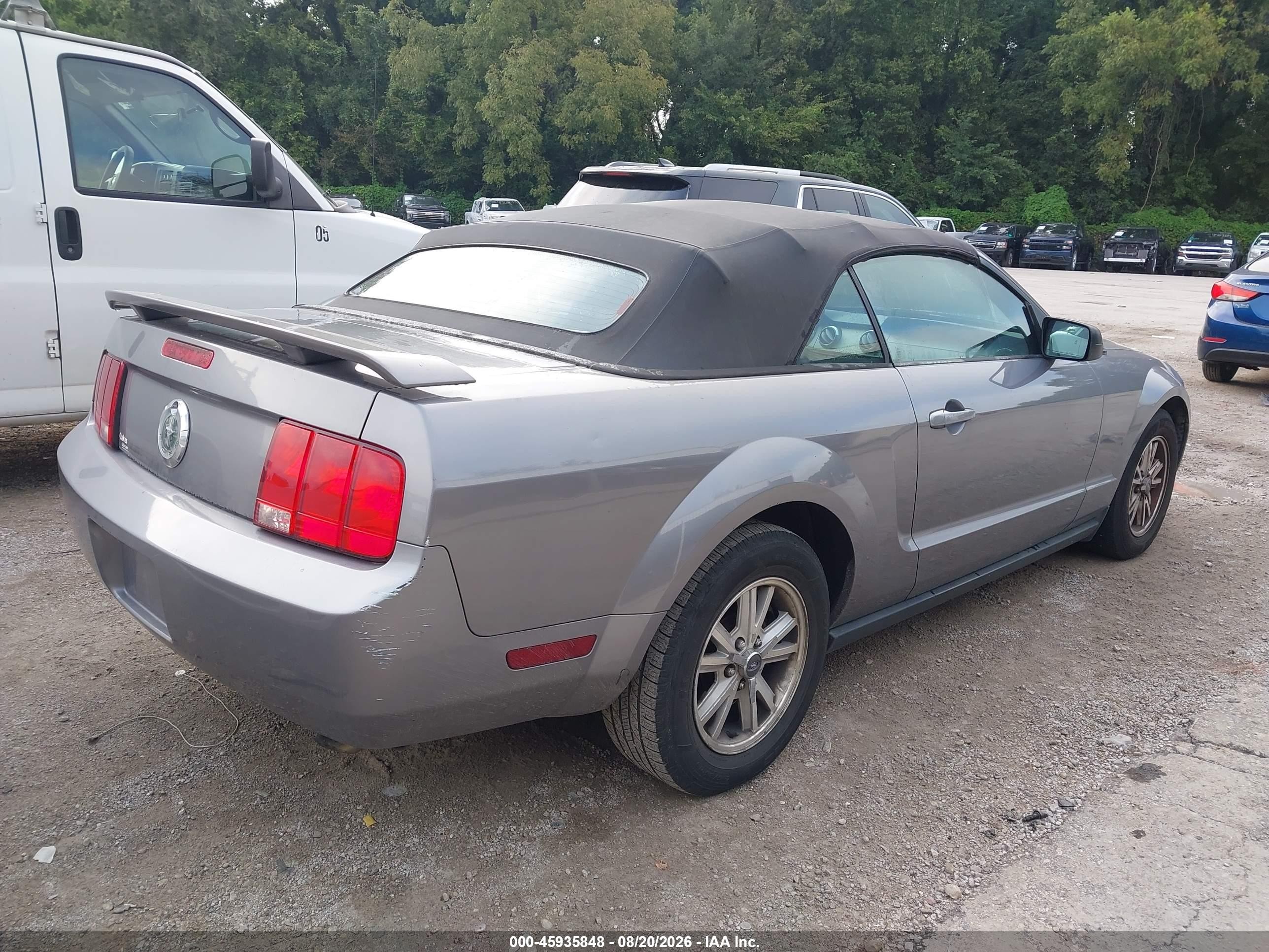 2006 Ford Mustang V6 Серый vin: 1ZVHT84NX65117897