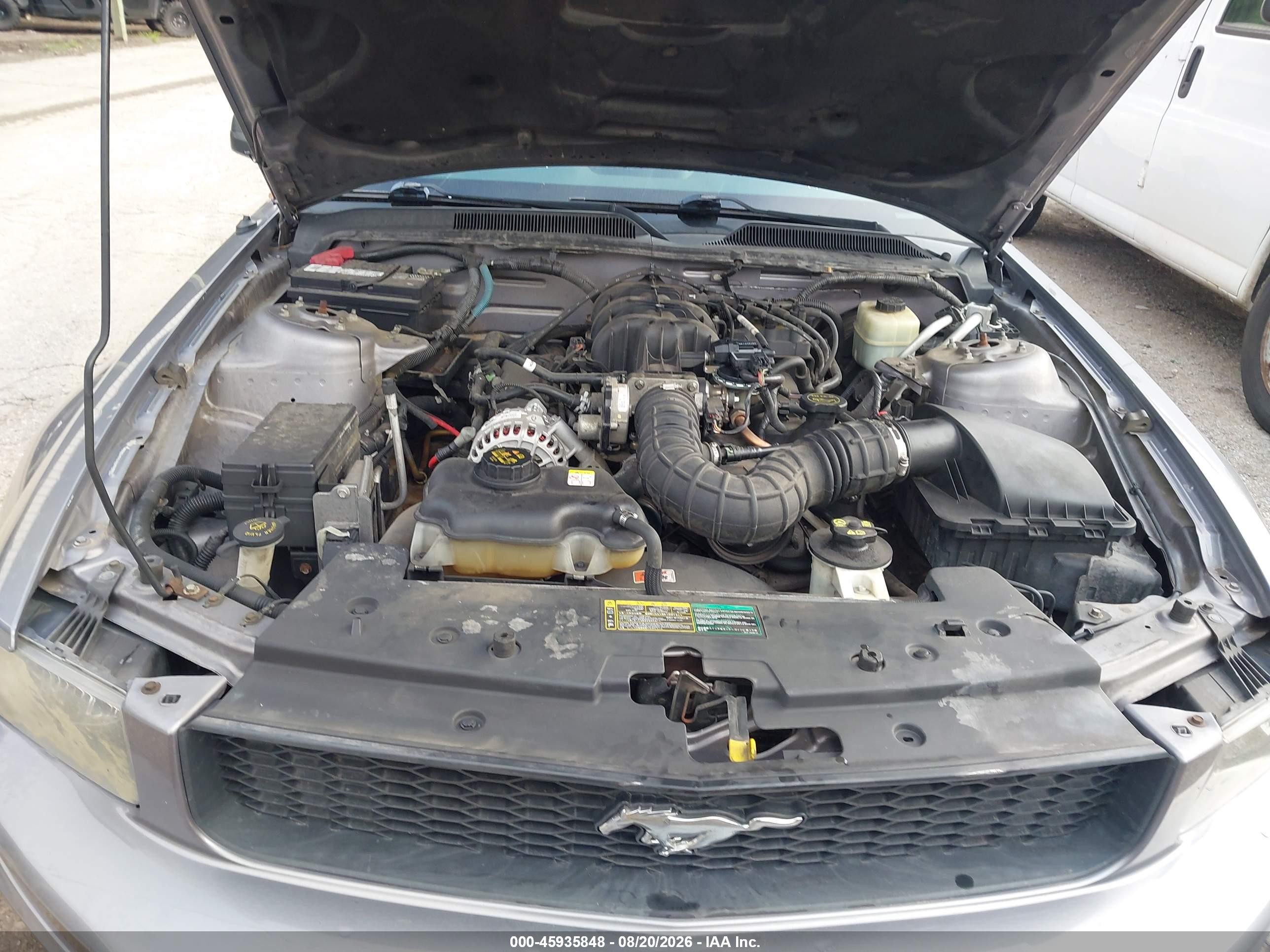 2006 Ford Mustang V6 Серый vin: 1ZVHT84NX65117897
