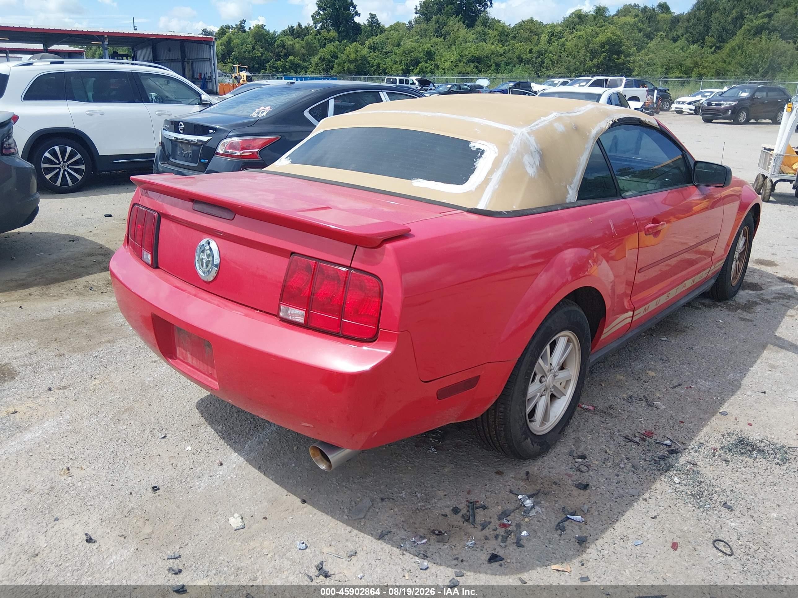 2008 Ford Mustang V6 Deluxe Красный vin: 1ZVHT84NX85134721