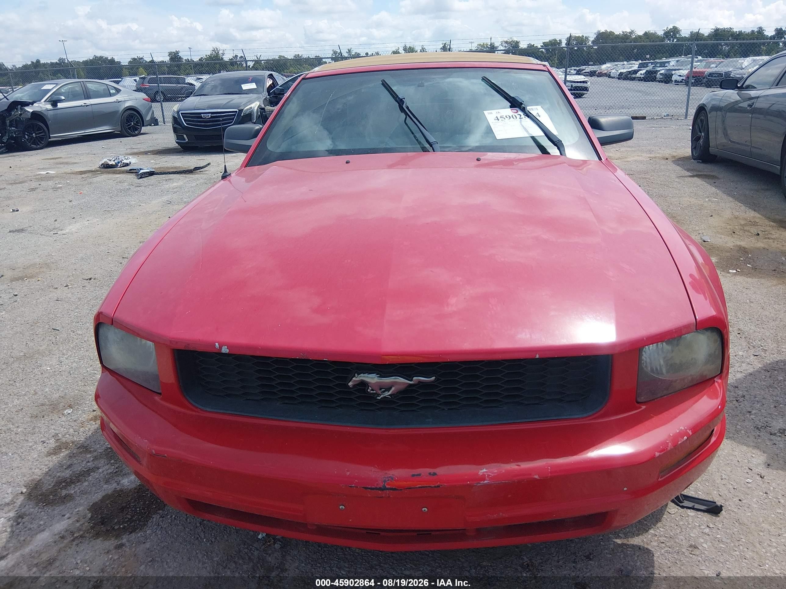 2008 Ford Mustang V6 Deluxe Красный vin: 1ZVHT84NX85134721