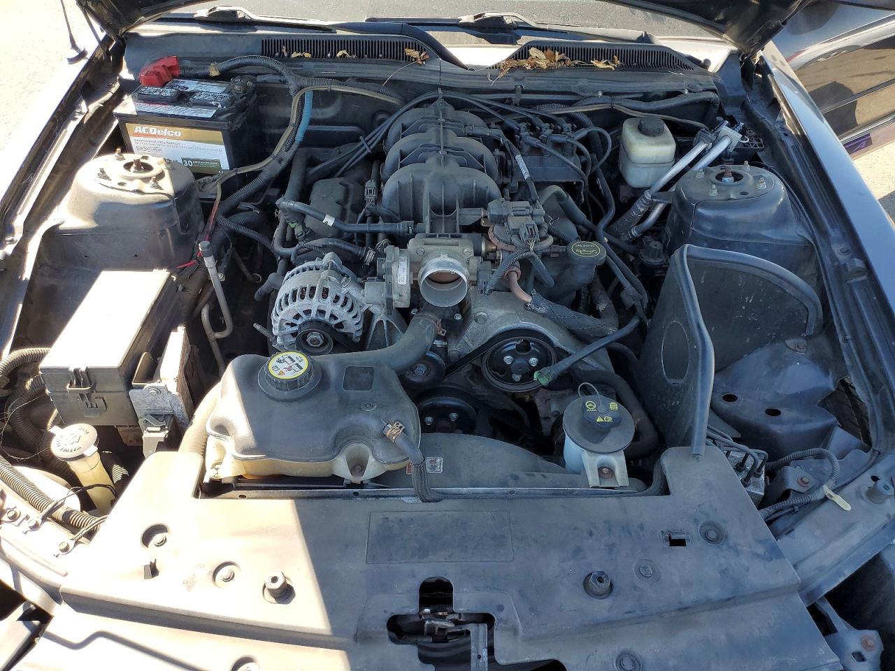2008 Ford Mustang Серый vin: 1ZVHT84NX85165564