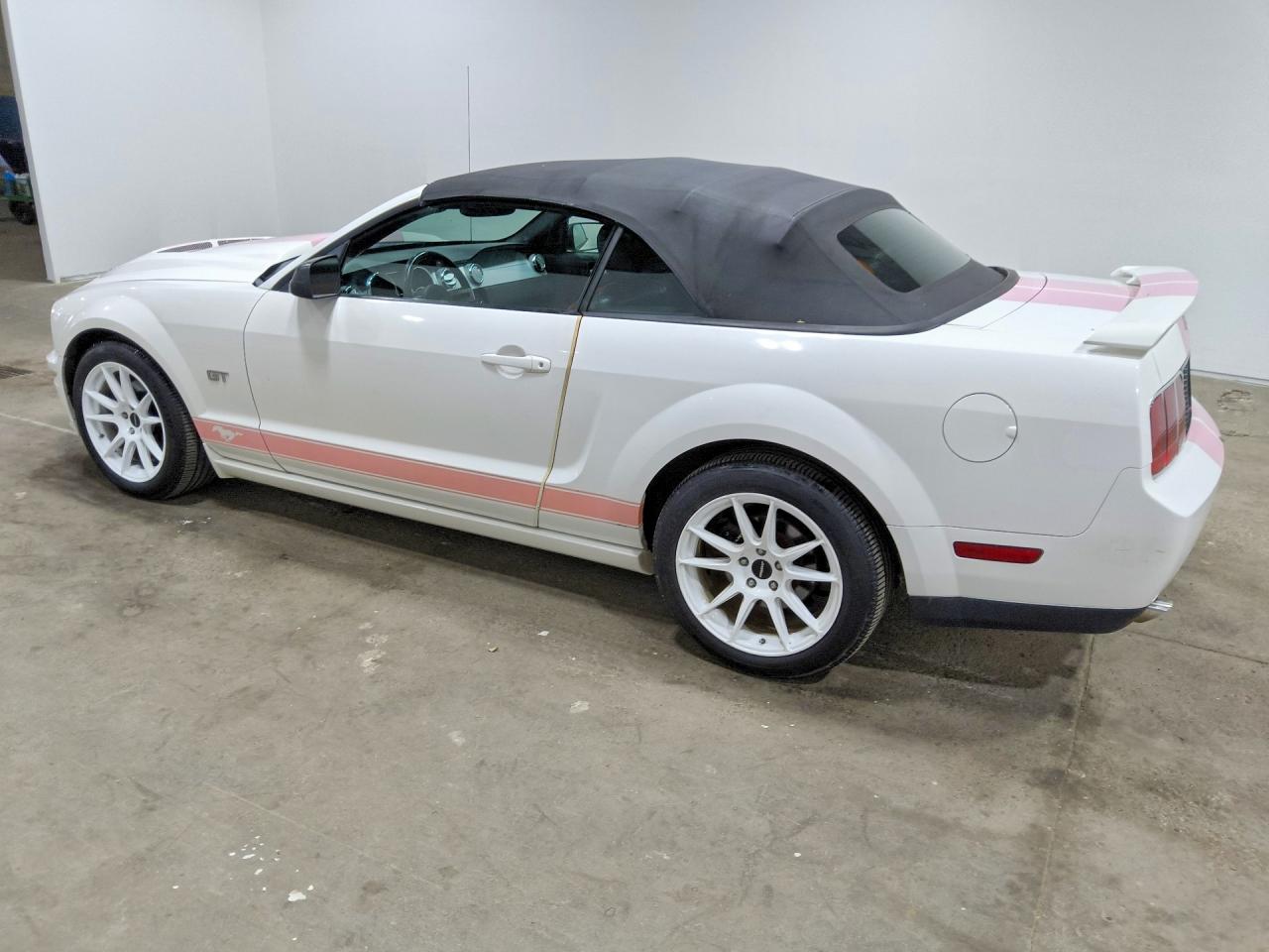 2006 Ford Mustang Gt White vin: 1ZVHT85H165119434