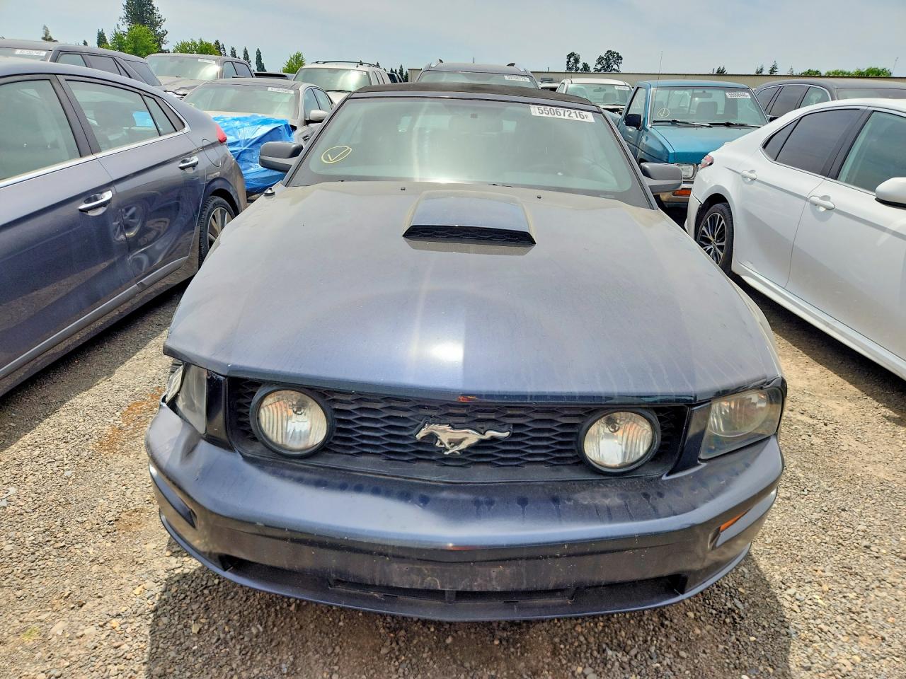 2007 Ford Mustang Gt Blue vin: 1ZVHT85H175347399