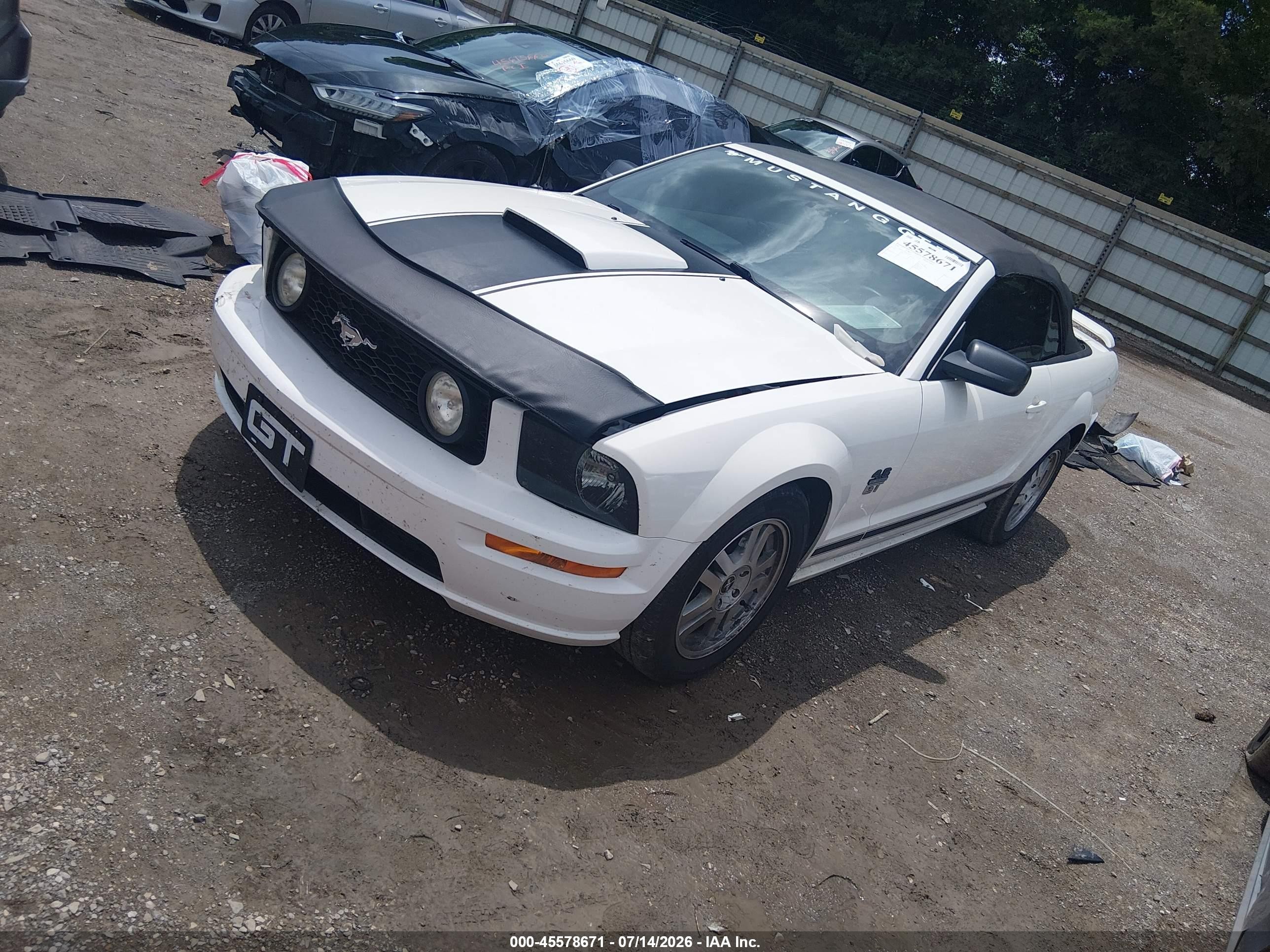 2008 Ford Mustang Gt Premium White vin: 1ZVHT85H185117248