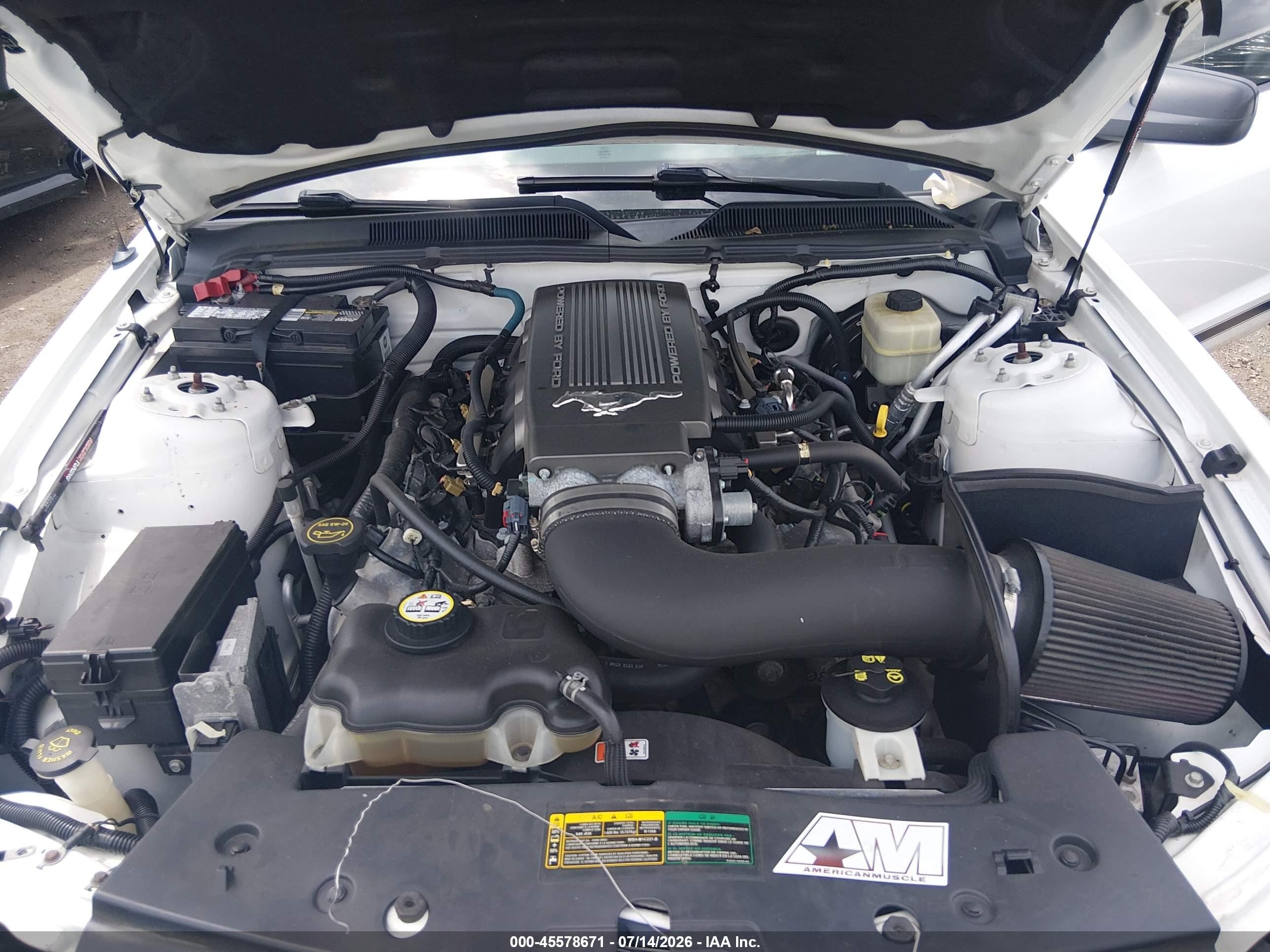 2008 Ford Mustang Gt Premium White vin: 1ZVHT85H185117248