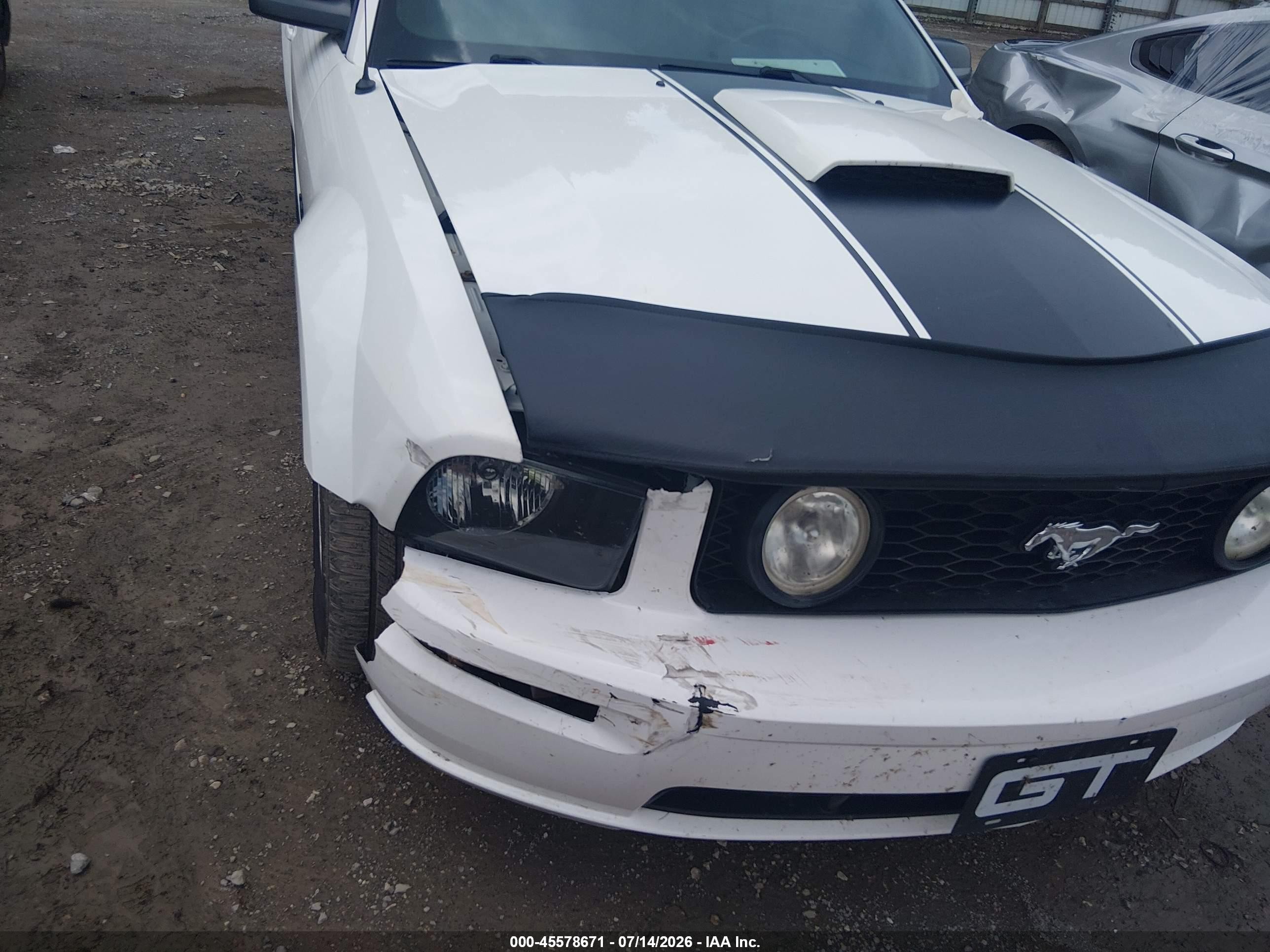 2008 Ford Mustang Gt Premium White vin: 1ZVHT85H185117248