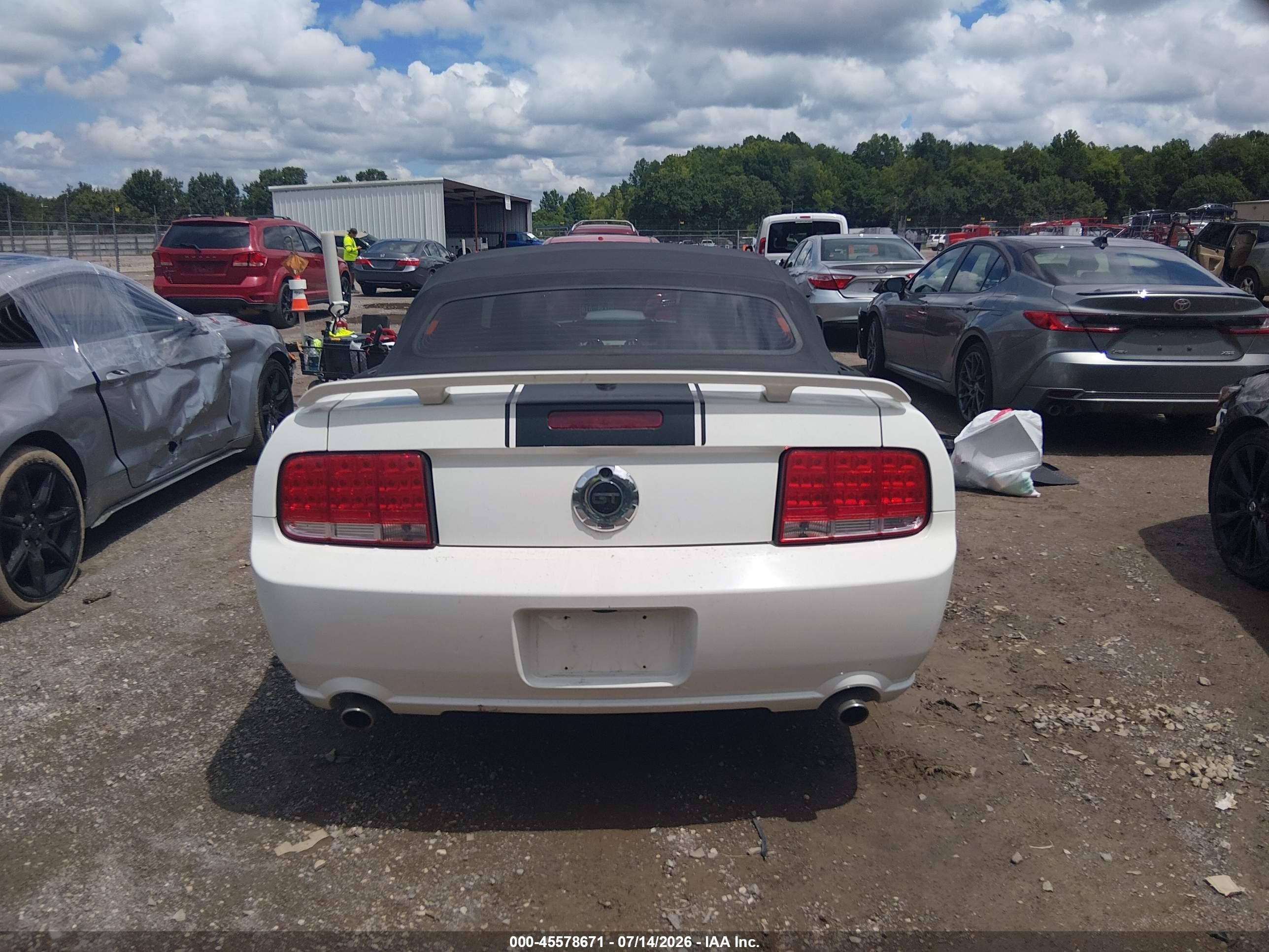 2008 Ford Mustang Gt Premium White vin: 1ZVHT85H185117248