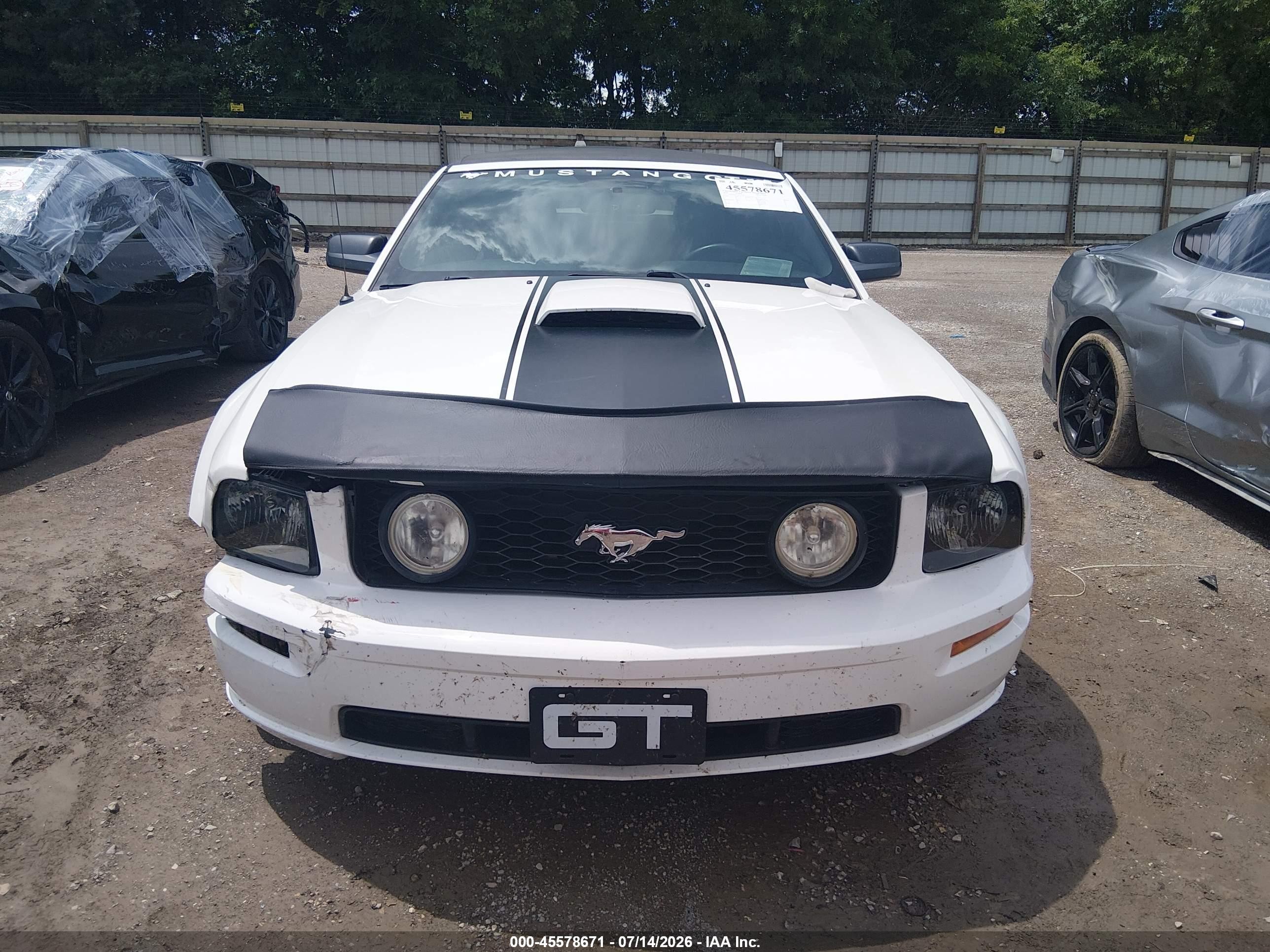 2008 Ford Mustang Gt Premium White vin: 1ZVHT85H185117248