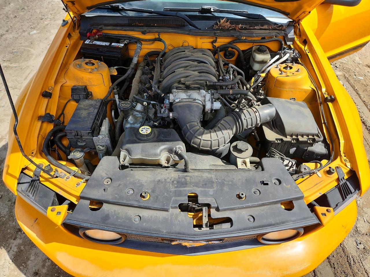 2008 Ford Mustang Gt Orange vin: 1ZVHT85H285203085