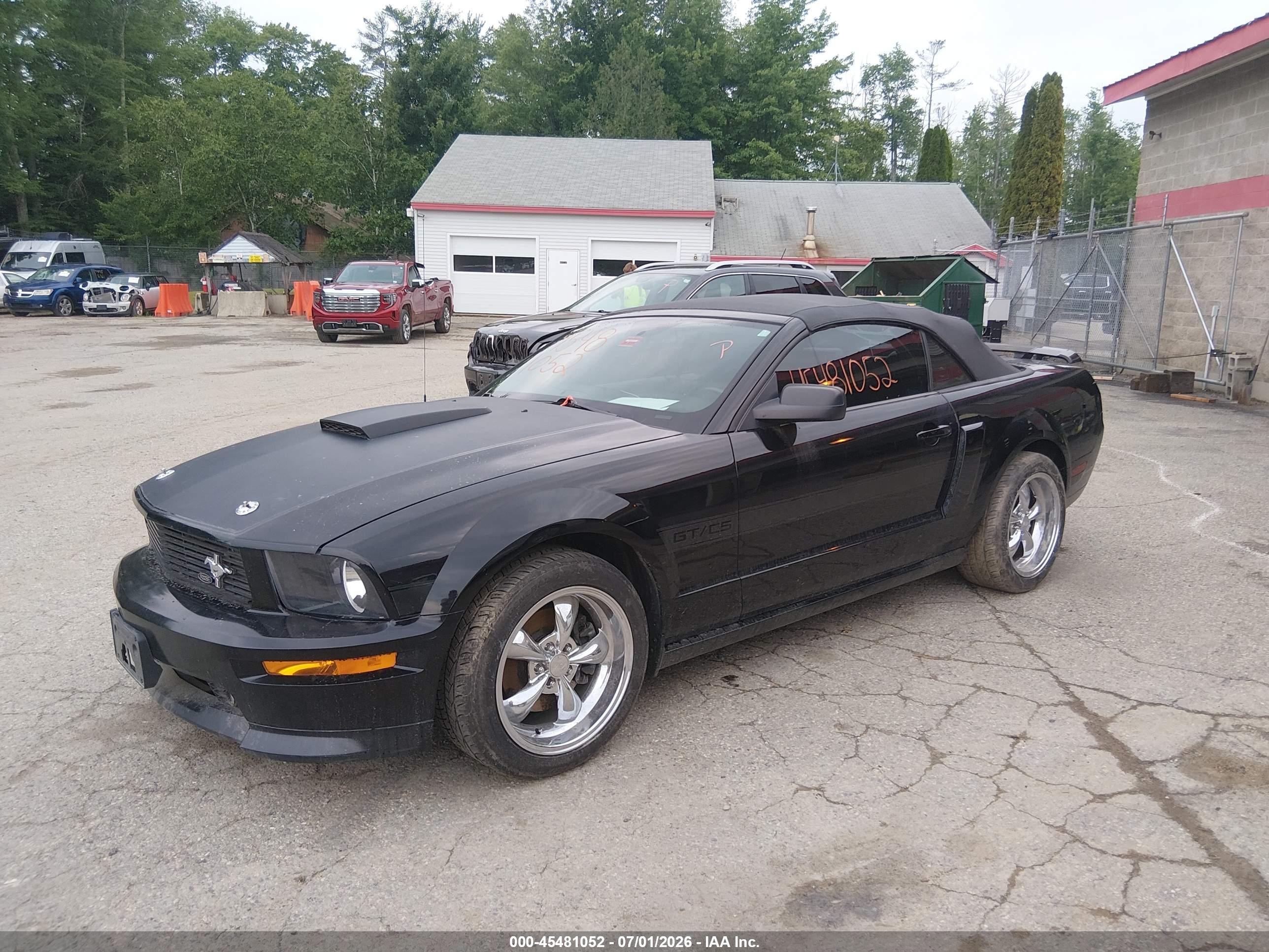 2009 Ford Mustang Gt/gt Premium Black vin: 1ZVHT85H295106888