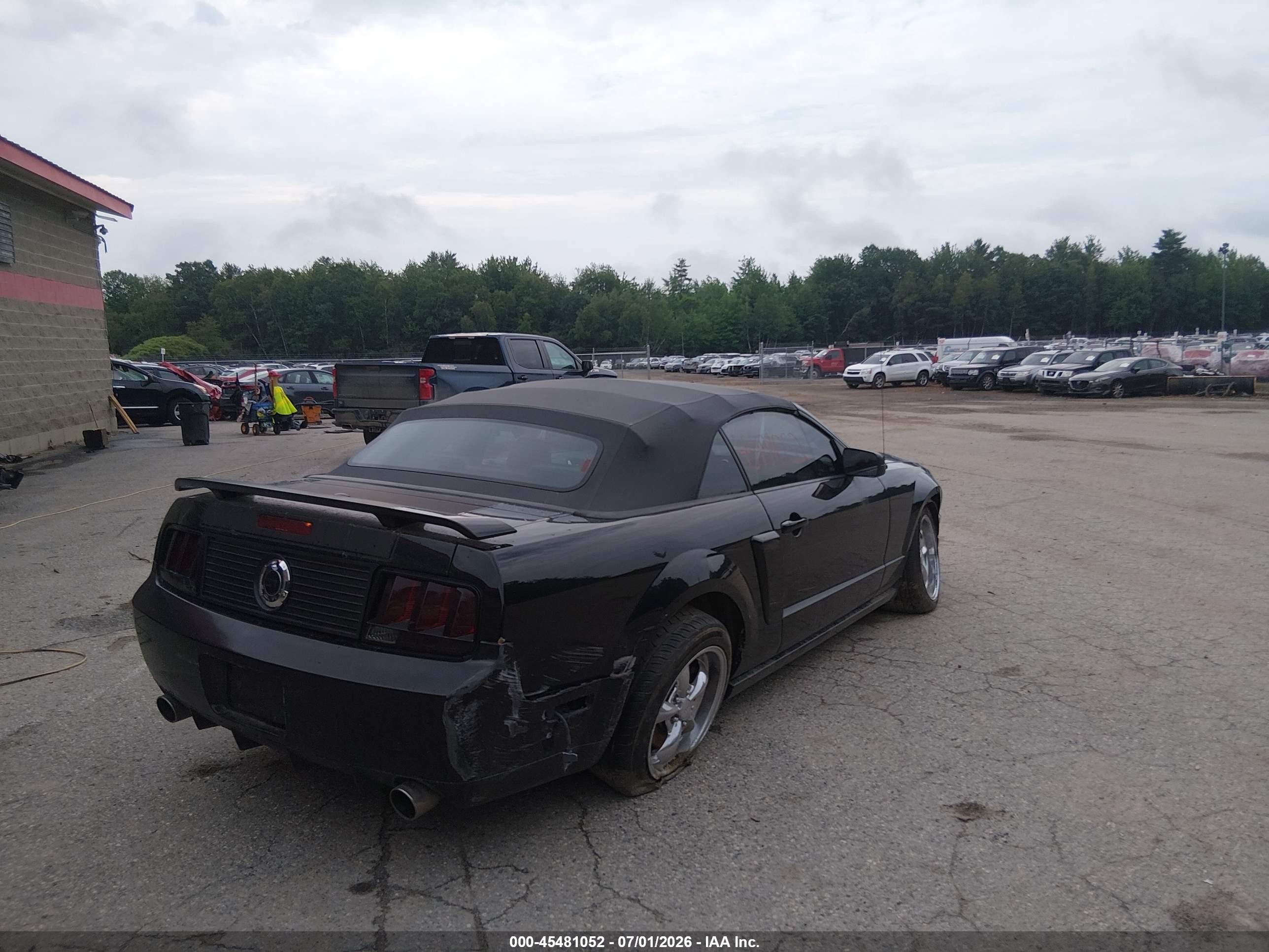 2009 Ford Mustang Gt/gt Premium Black vin: 1ZVHT85H295106888