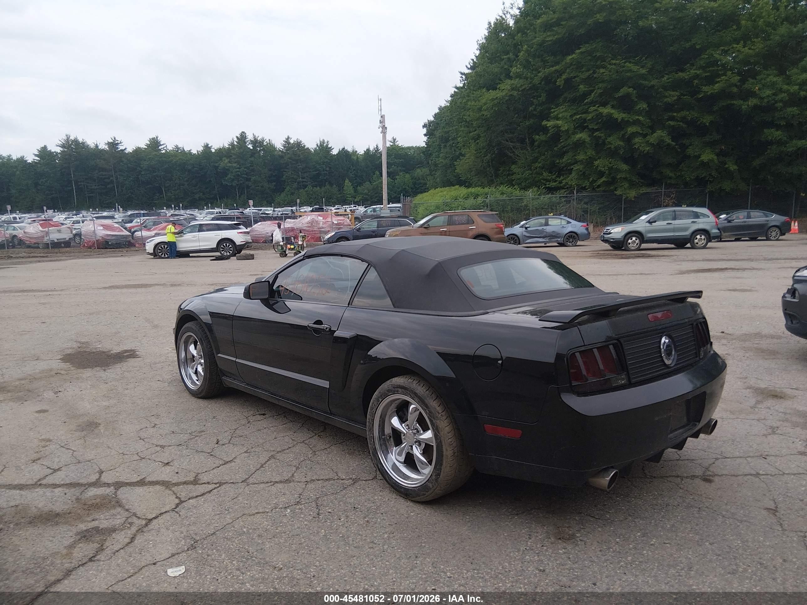 2009 Ford Mustang Gt/gt Premium Black vin: 1ZVHT85H295106888