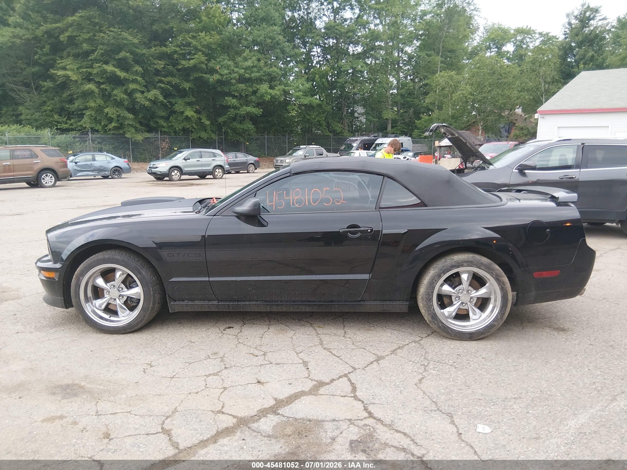 2009 Ford Mustang Gt/gt Premium Black vin: 1ZVHT85H295106888