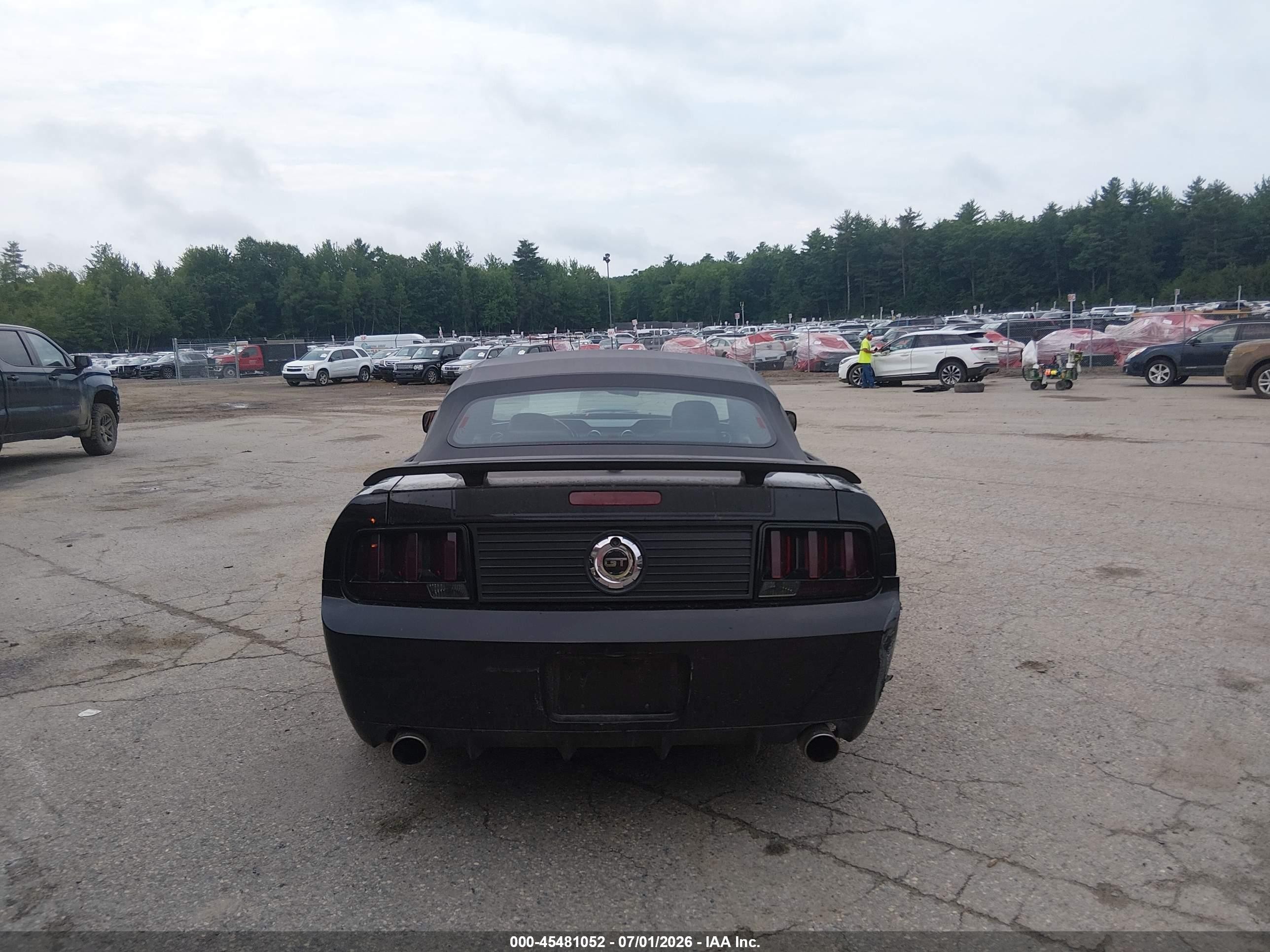 2009 Ford Mustang Gt/gt Premium Black vin: 1ZVHT85H295106888