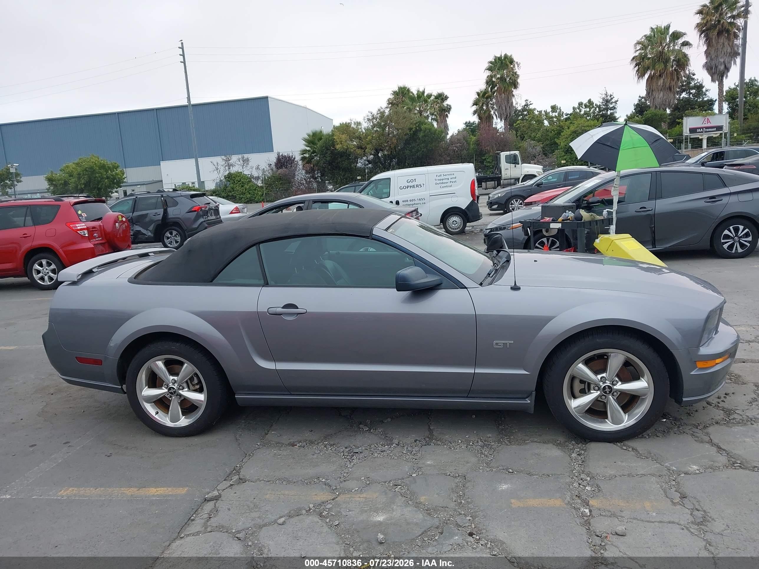 2006 Ford Mustang Gt Gray vin: 1ZVHT85H365182499