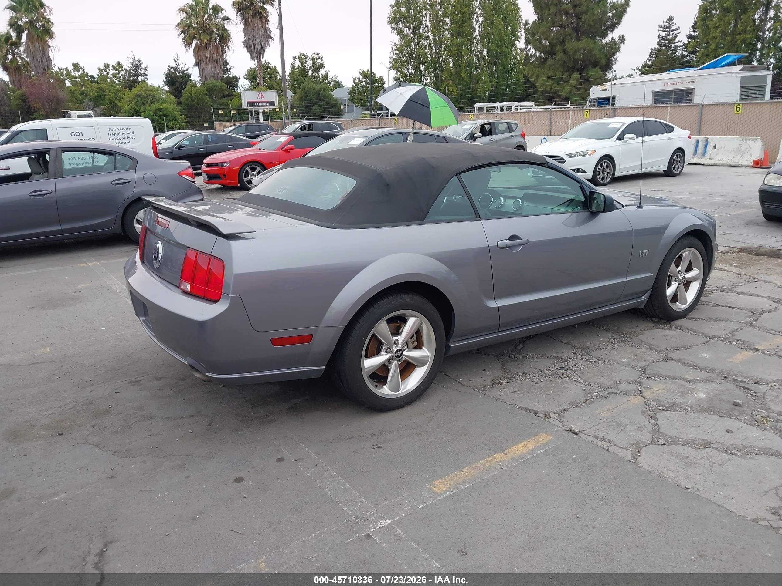 2006 Ford Mustang Gt Gray vin: 1ZVHT85H365182499