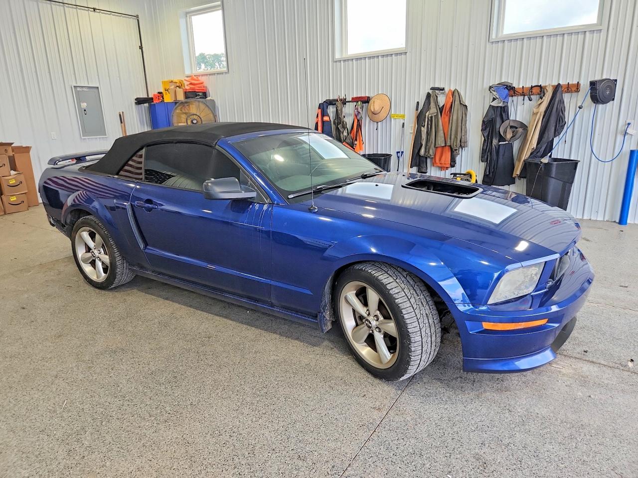 2007 Ford Mustang Gt Blue vin: 1ZVHT85H375306854