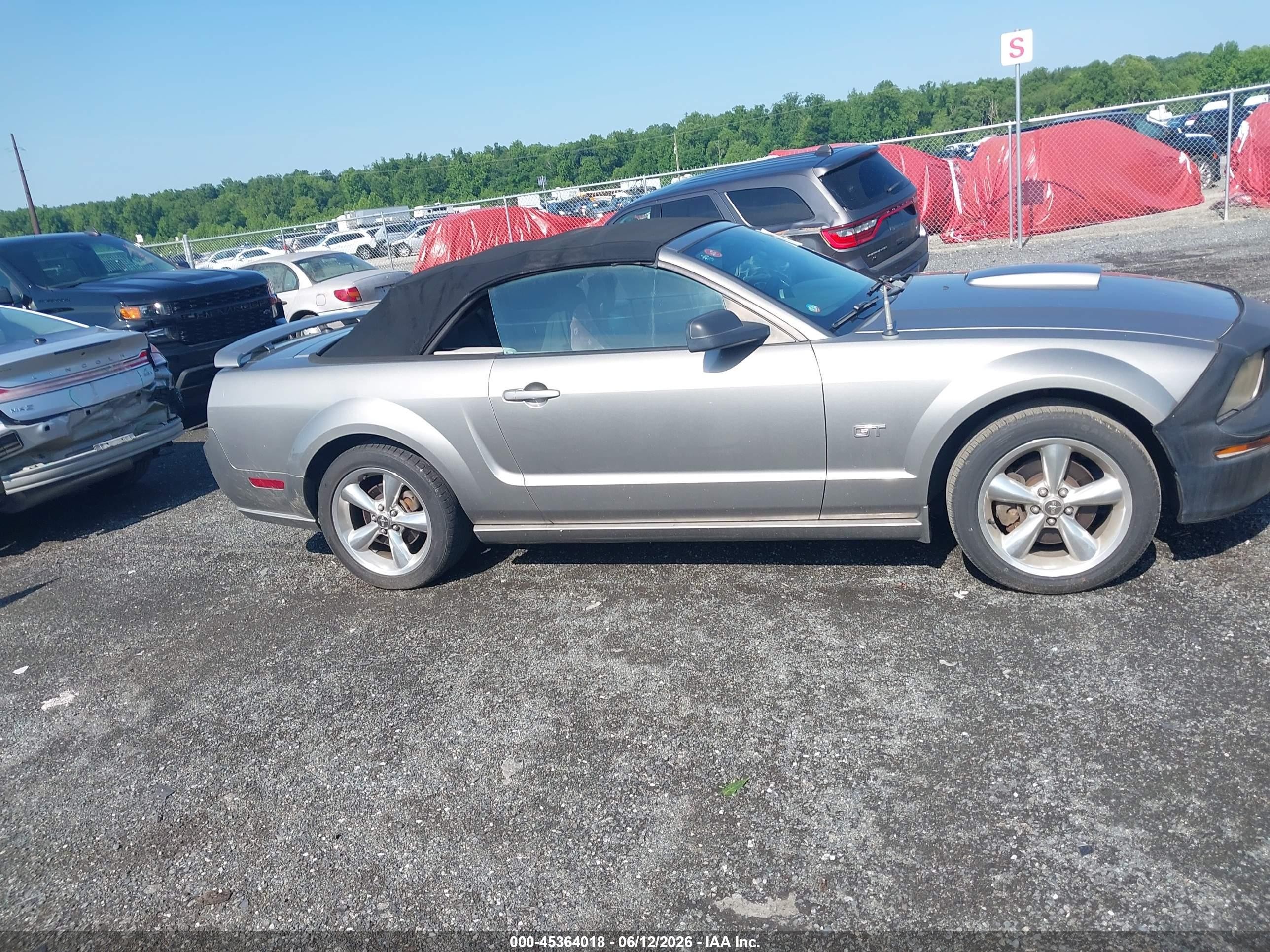 2008 Ford Mustang Gt Deluxe/gt Premium Серый vin: 1ZVHT85H385170971