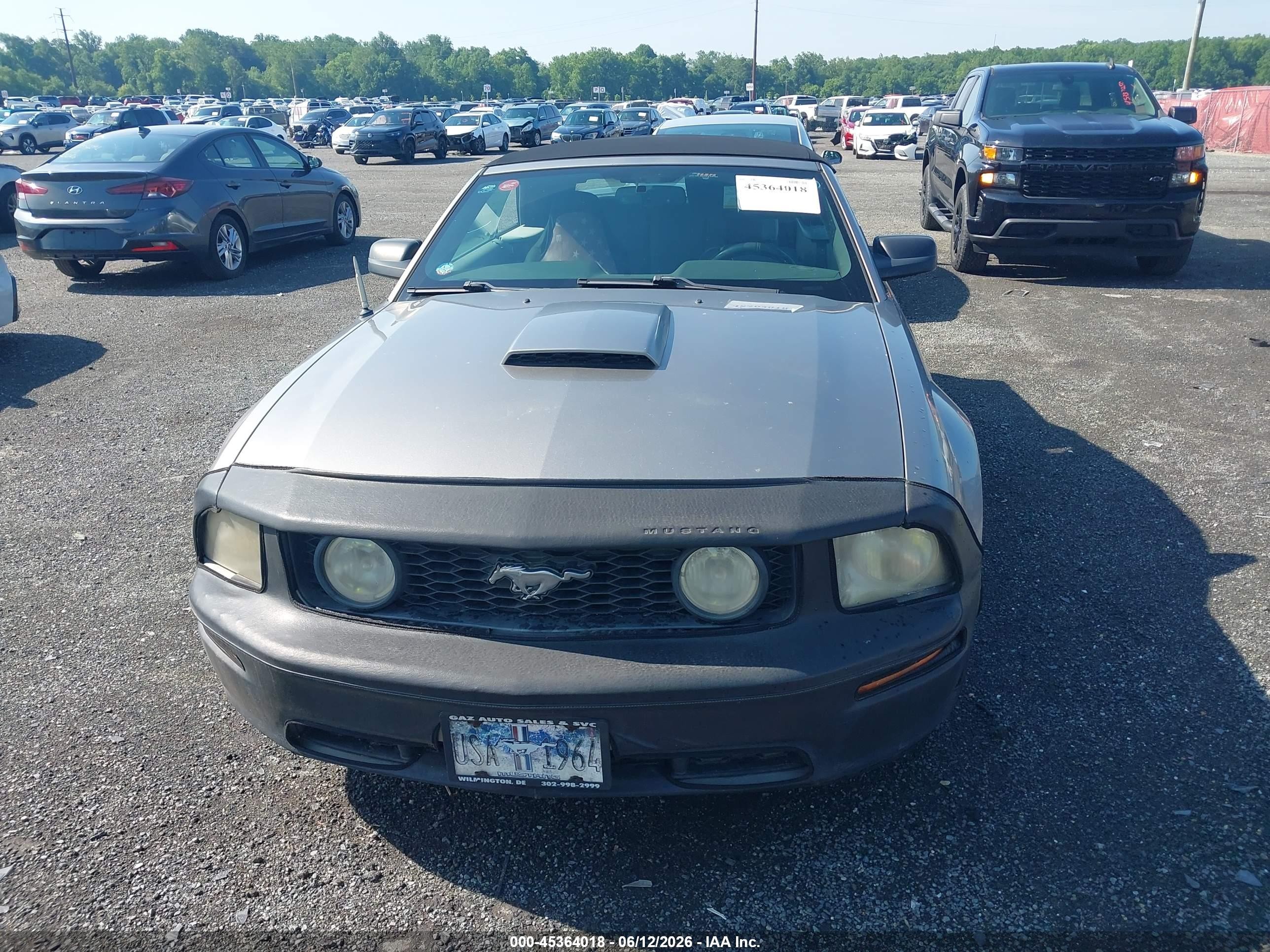 2008 Ford Mustang Gt Deluxe/gt Premium Серый vin: 1ZVHT85H385170971