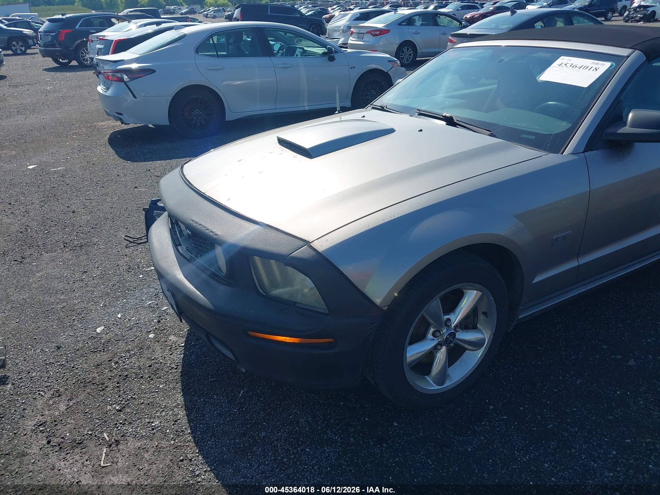 2008 Ford Mustang Gt Deluxe/gt Premium Серый vin: 1ZVHT85H385170971