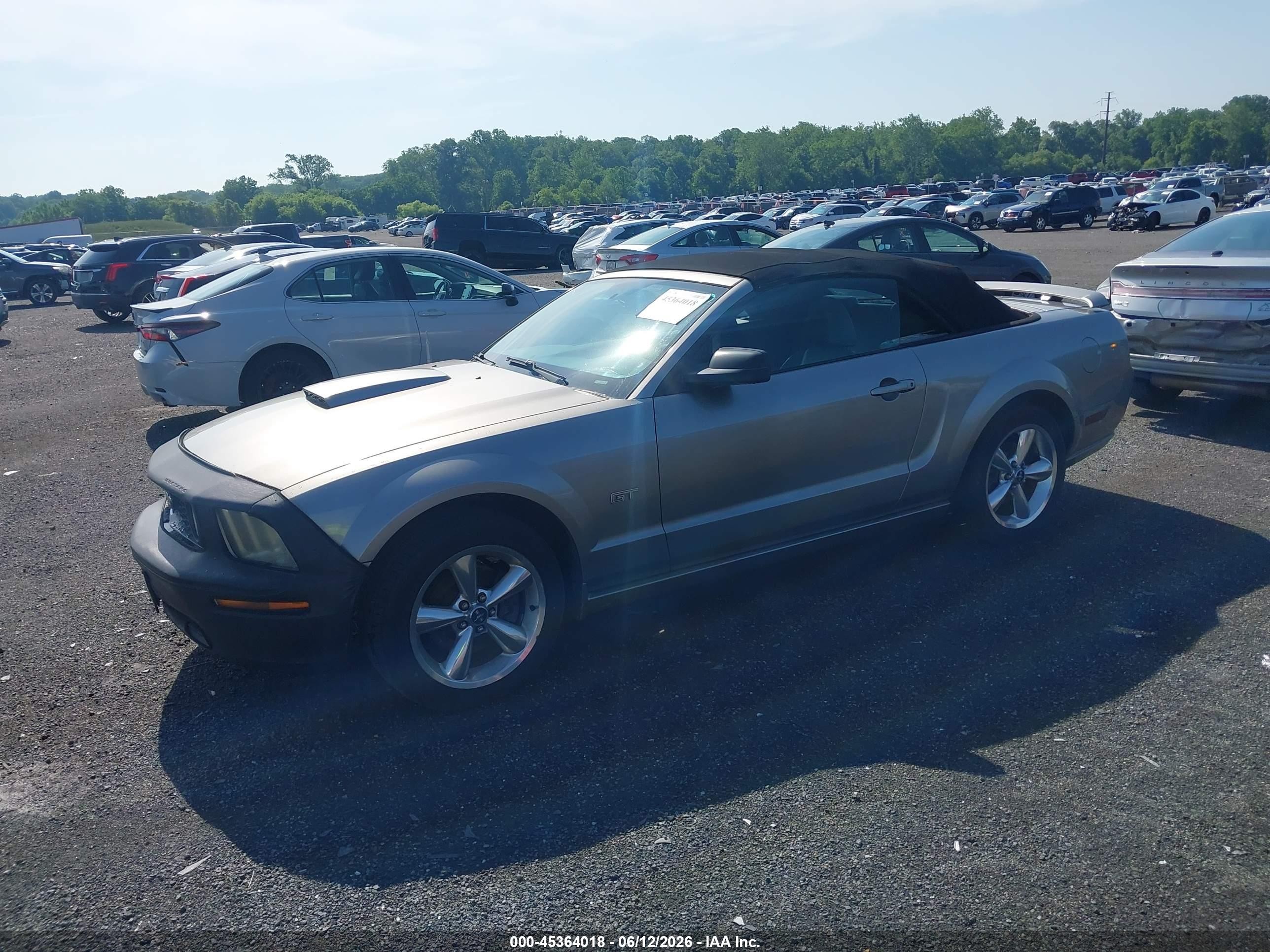 2008 Ford Mustang Gt Deluxe/gt Premium Серый vin: 1ZVHT85H385170971