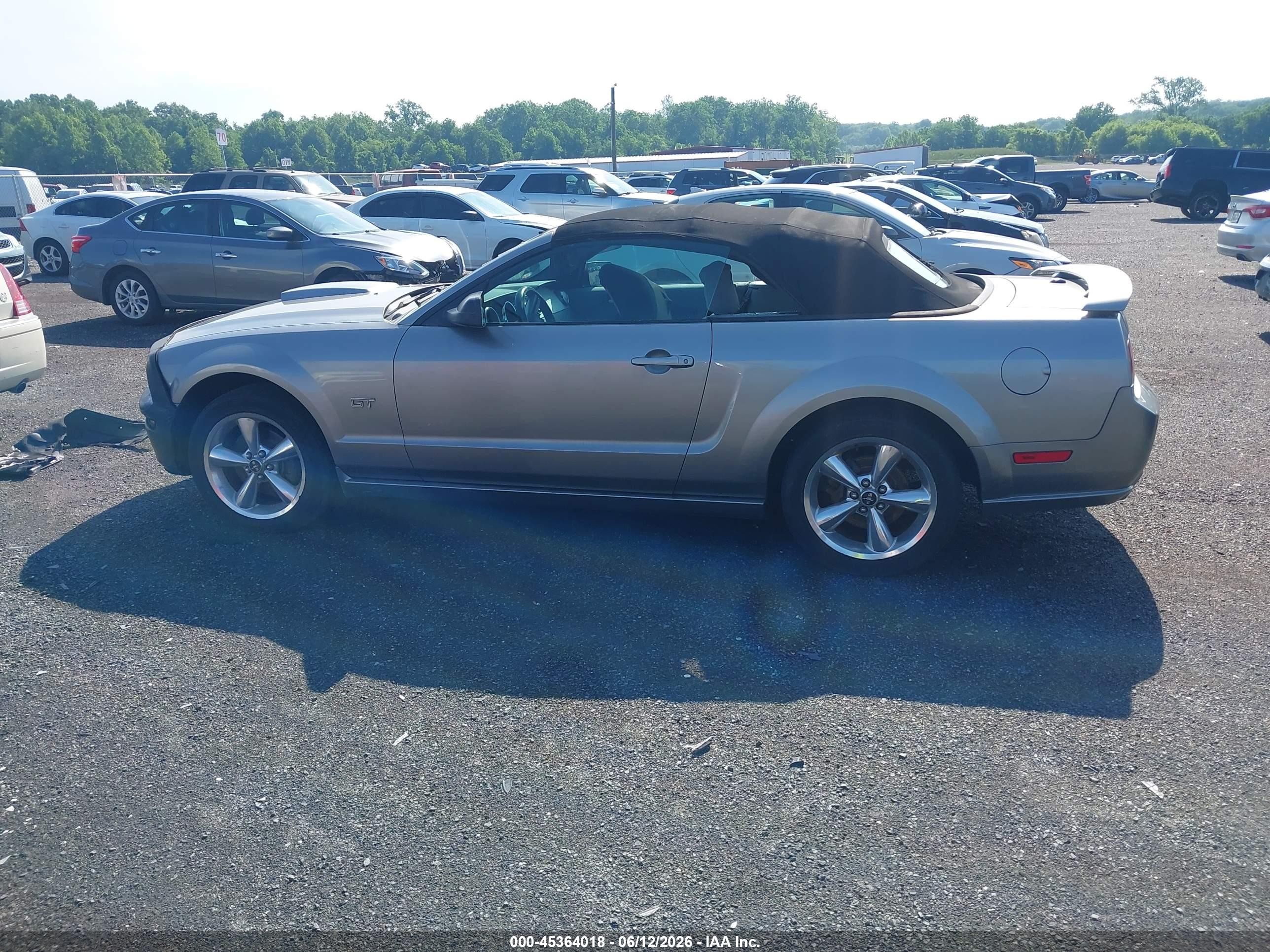 2008 Ford Mustang Gt Deluxe/gt Premium Серый vin: 1ZVHT85H385170971