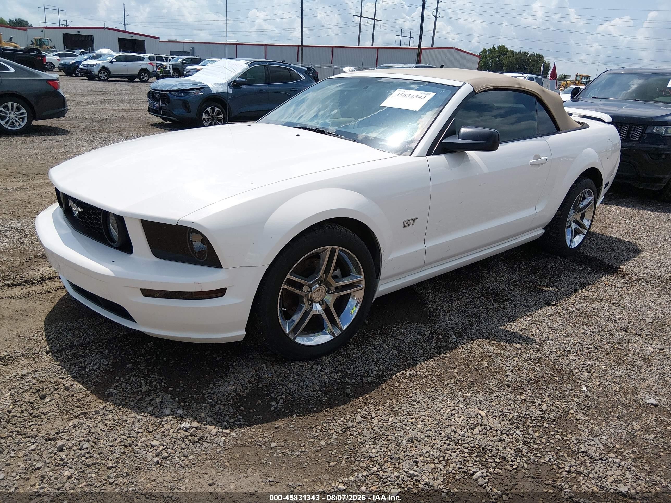 2005 Ford Mustang Gt Белый vin: 1ZVHT85H455203567