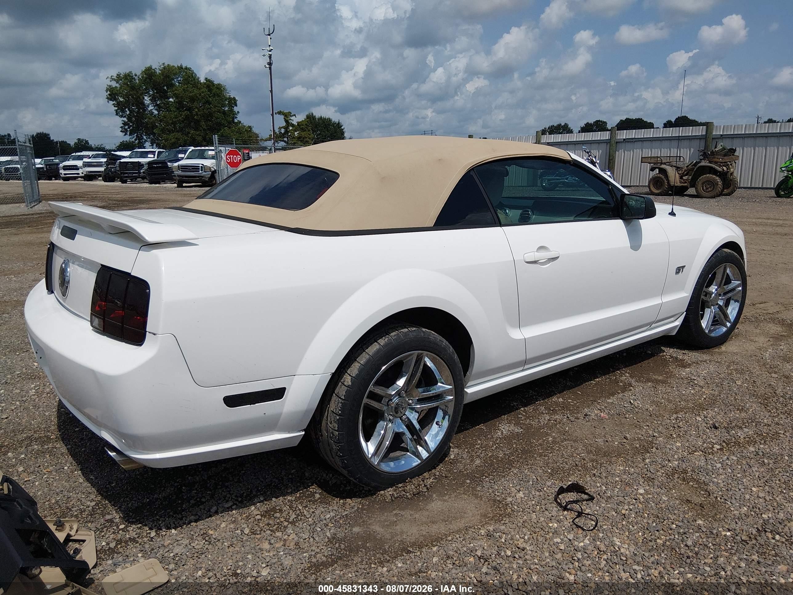 2005 Ford Mustang Gt Белый vin: 1ZVHT85H455203567