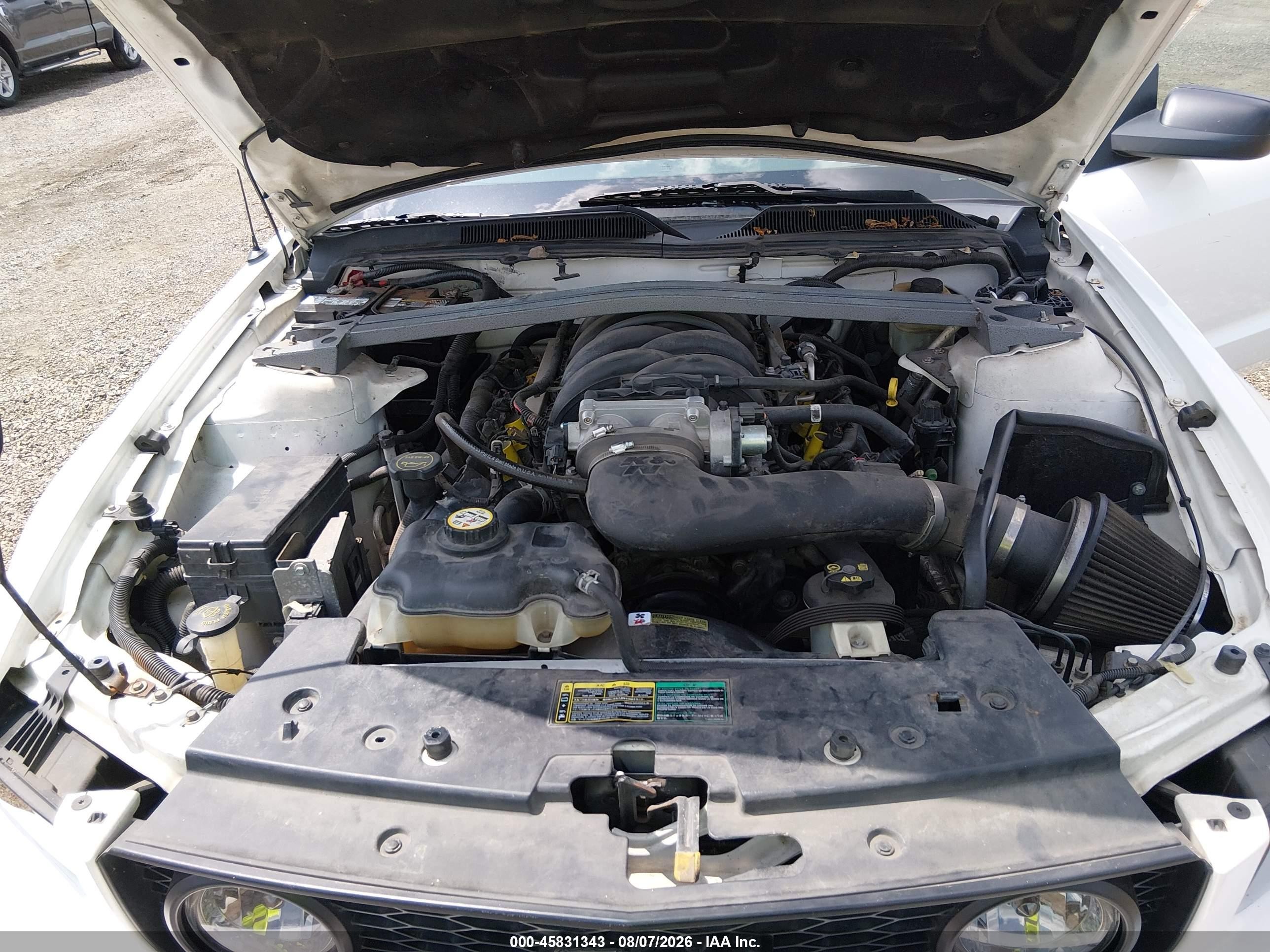 2005 Ford Mustang Gt Белый vin: 1ZVHT85H455203567