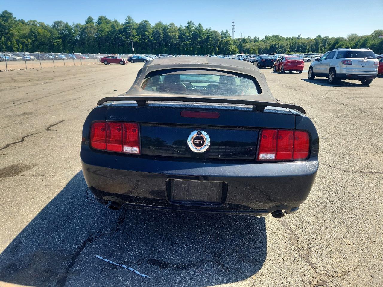 2006 Ford Mustang Gt Black vin: 1ZVHT85H465230026