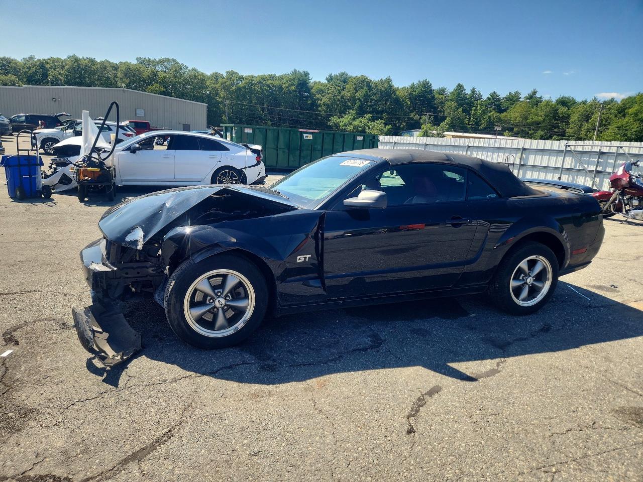 2006 Ford Mustang Gt Black vin: 1ZVHT85H465230026