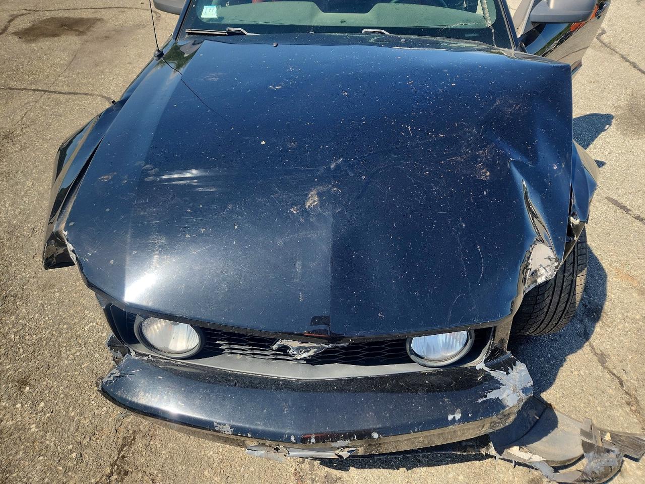 2006 Ford Mustang Gt Black vin: 1ZVHT85H465230026