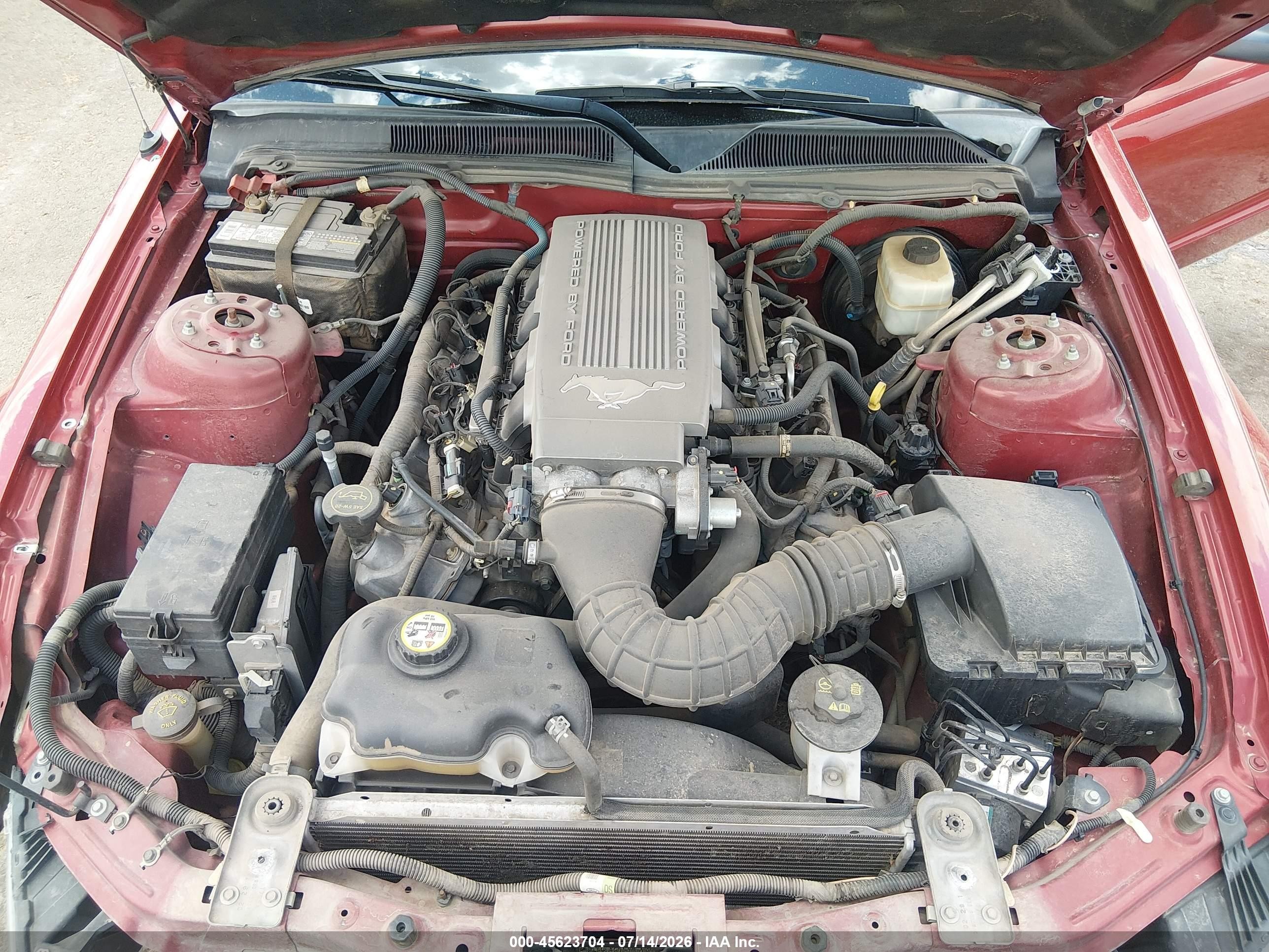 2008 Ford Mustang Gt Deluxe/gt Premium Red vin: 1ZVHT85H585200052