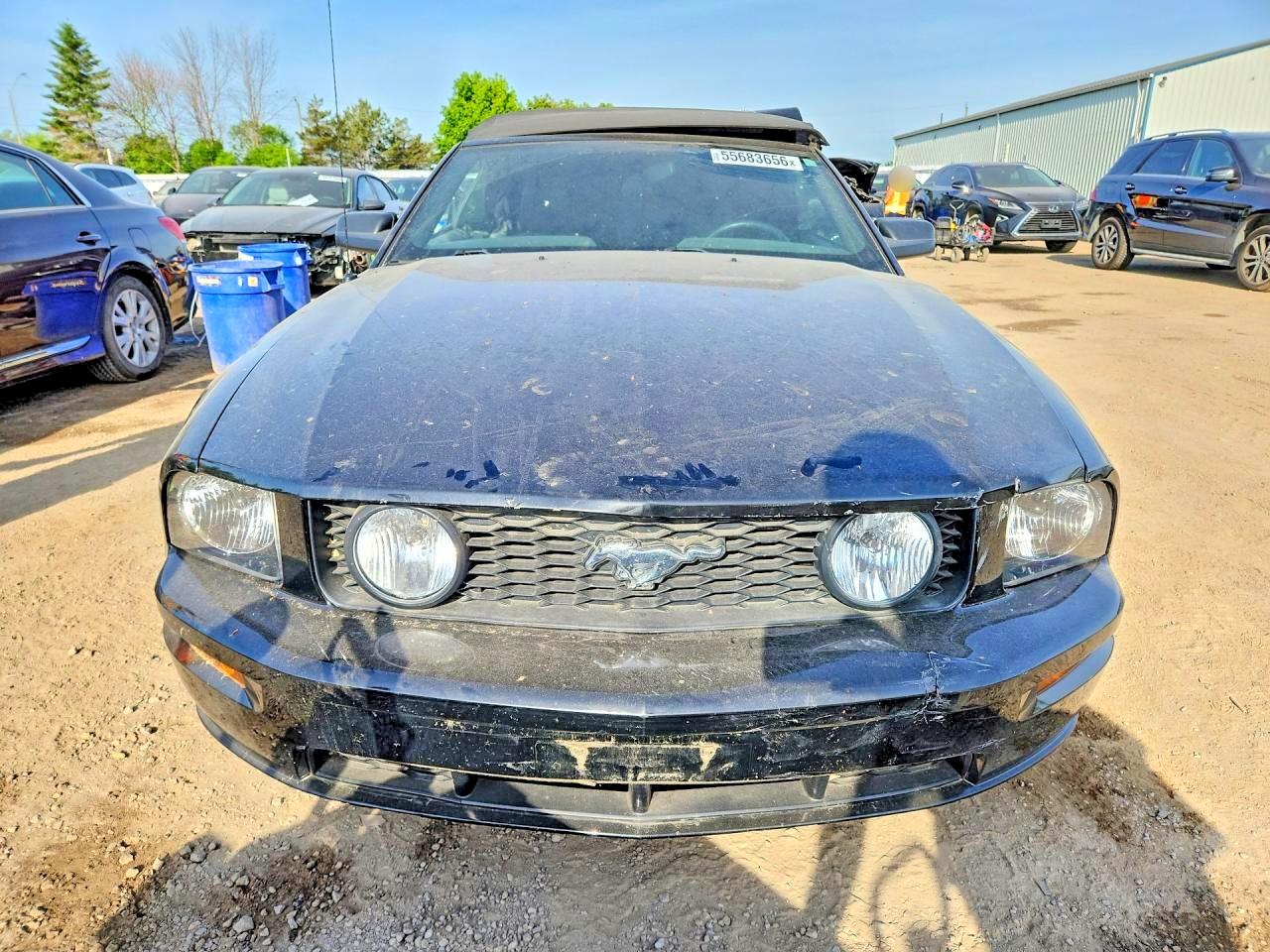 2006 Ford Mustang Gt Black vin: 1ZVHT85H765198396