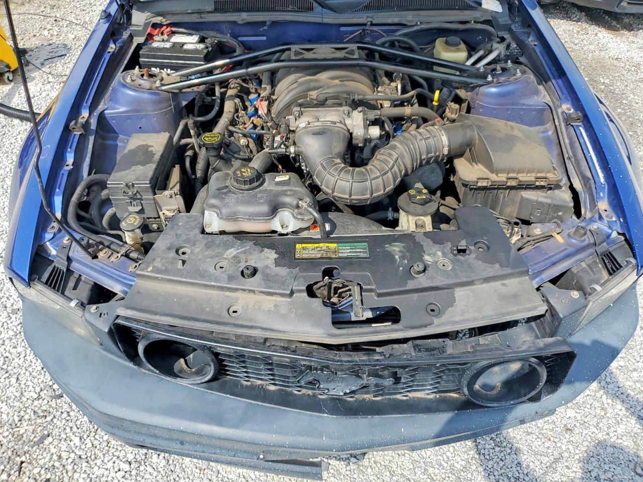 2006 Ford Mustang Gt Blue vin: 1ZVHT85H765255227