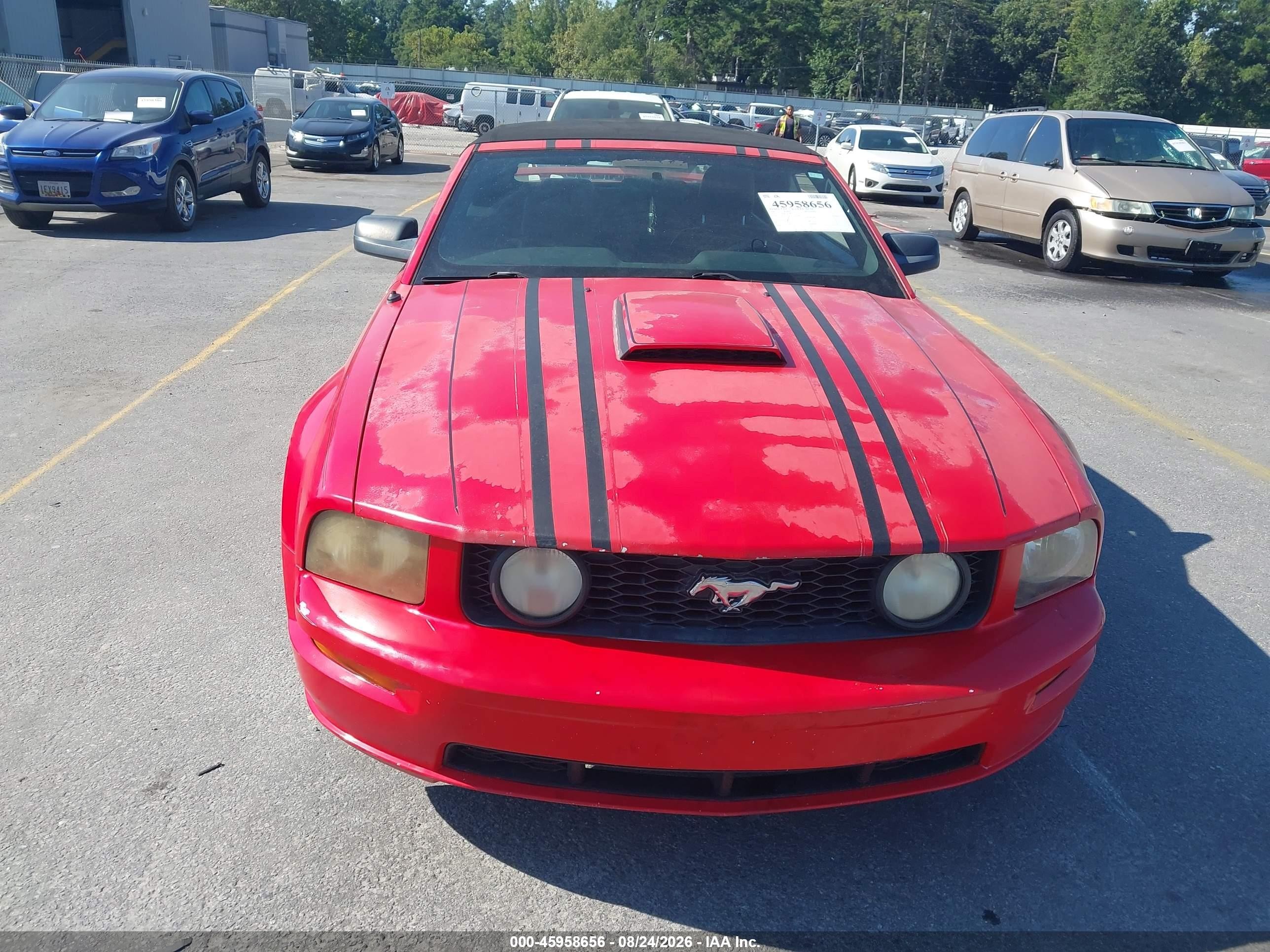 2007 Ford Mustang Gt Deluxe/gt Premium Red vin: 1ZVHT85H775328873