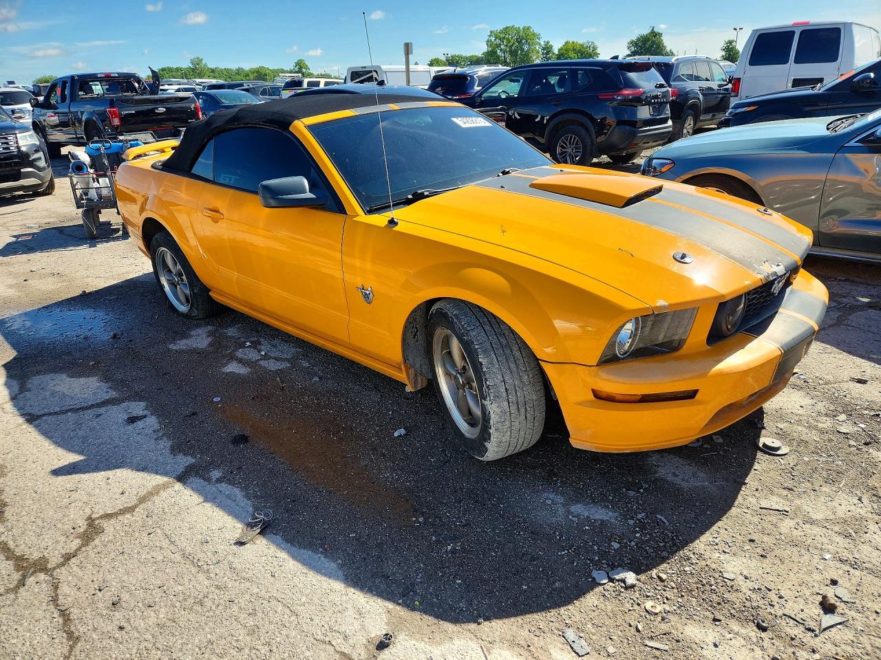 2009 Ford Mustang Gt Orange vin: 1ZVHT85H895142164