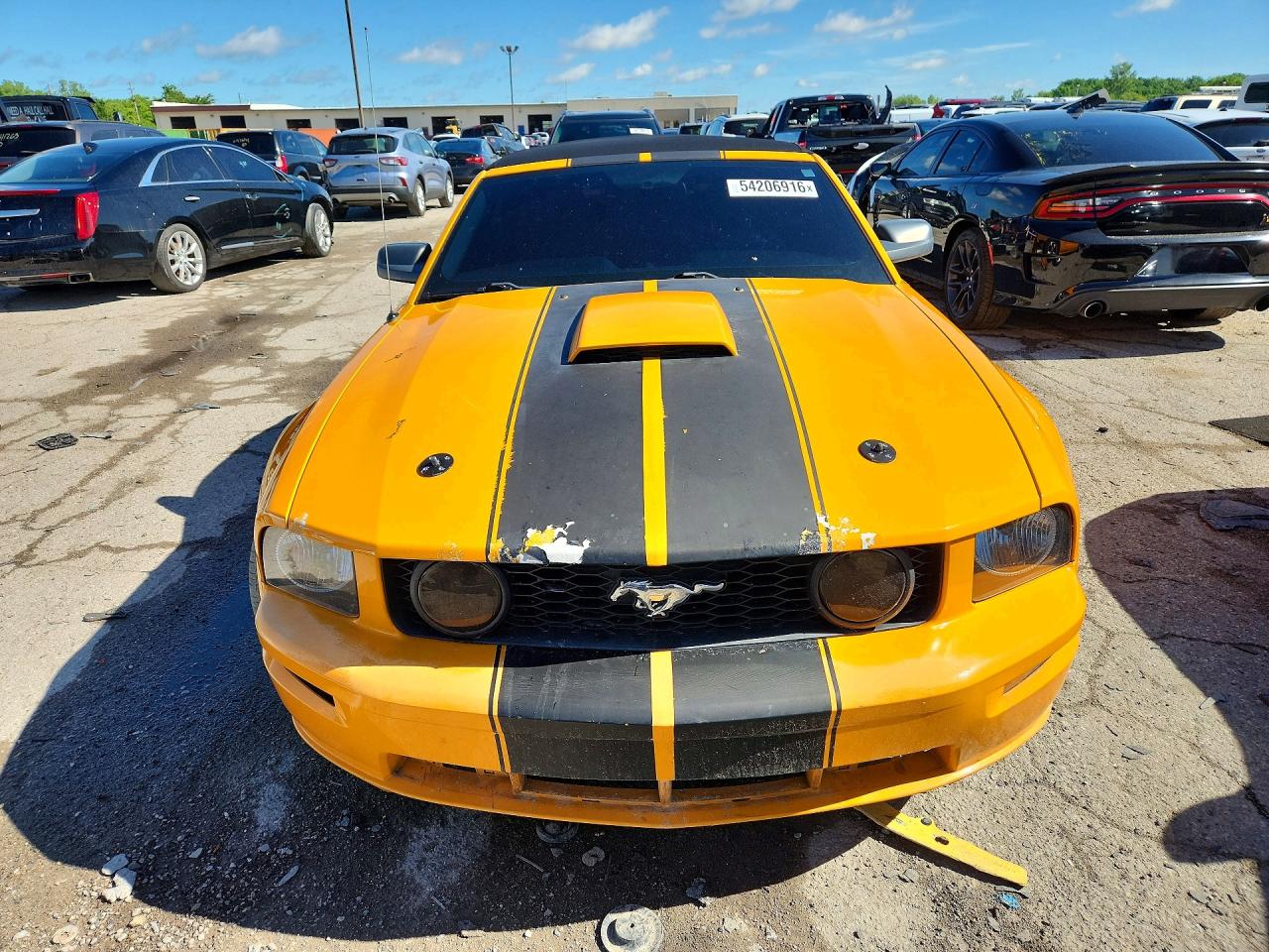 2009 Ford Mustang Gt Orange vin: 1ZVHT85H895142164