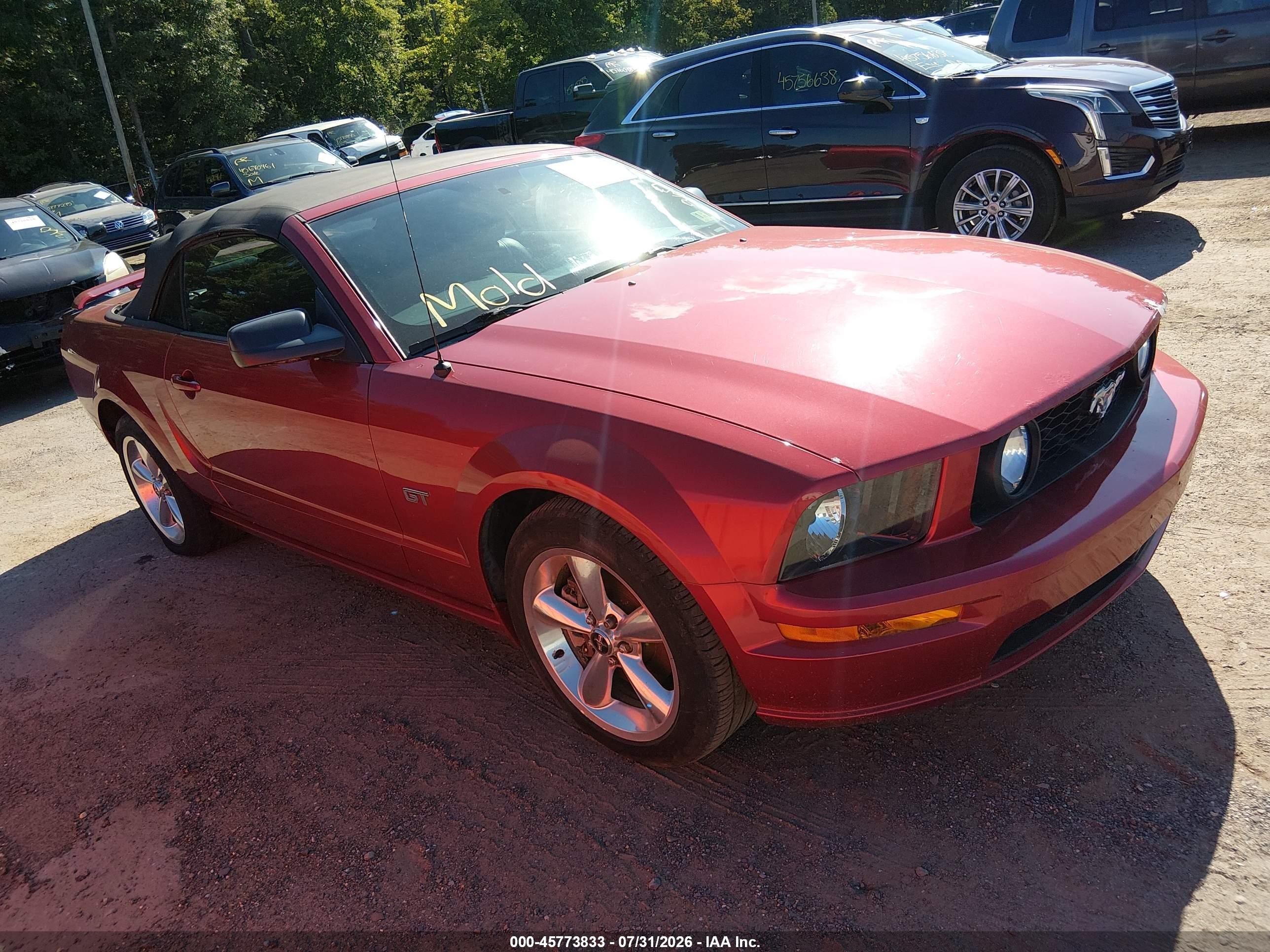 2006 Ford Mustang Gt Red vin: 1ZVHT85H965210743