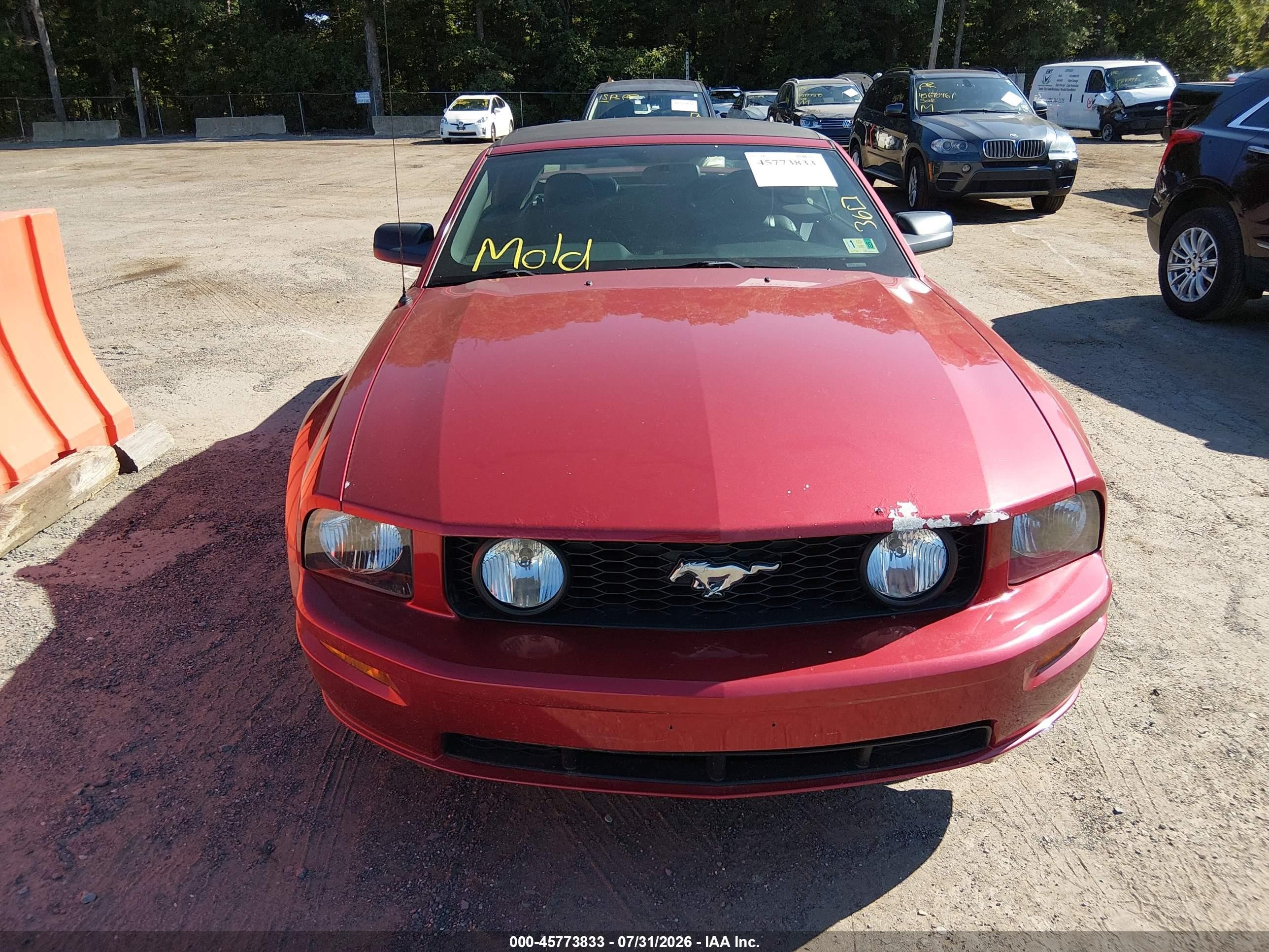 2006 Ford Mustang Gt Red vin: 1ZVHT85H965210743