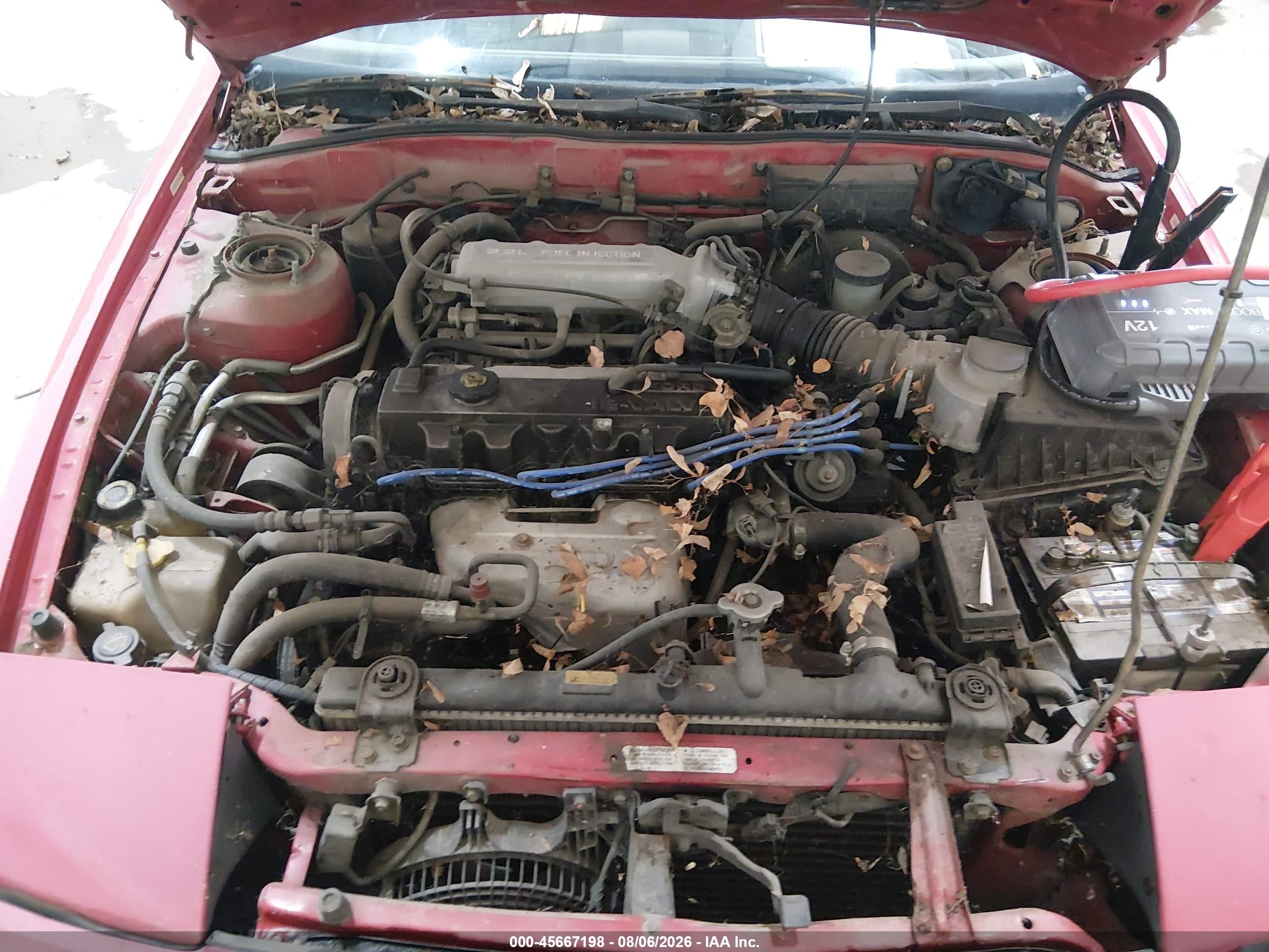 1991 Ford Probe Gl Красный vin: 1ZVPT20C6M5144086